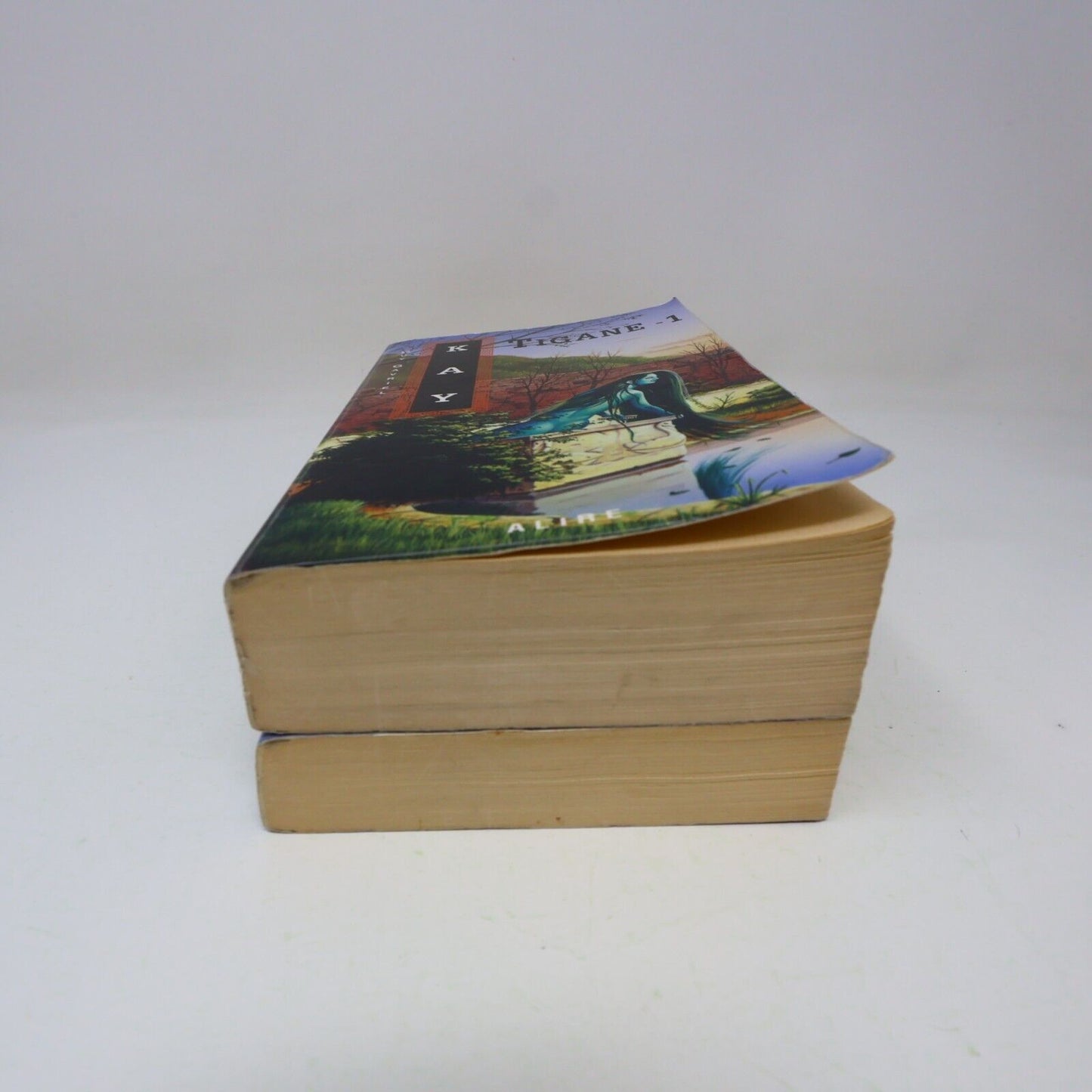 Lot 2 Livres Tigane #1-2 Guy Gavriel Kay Série Complète Fantasy 1998 Français PB