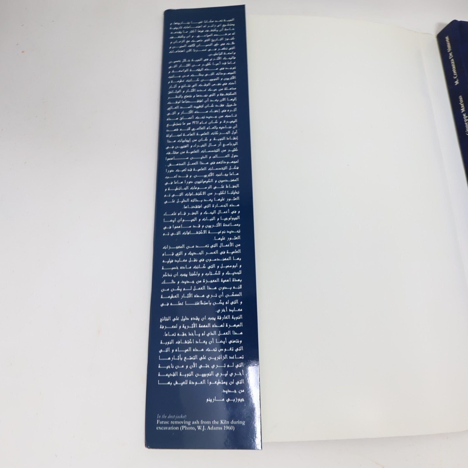 2000 Nubia Submerged Simone/Marino Society History Archeology Agenza Italiana HC