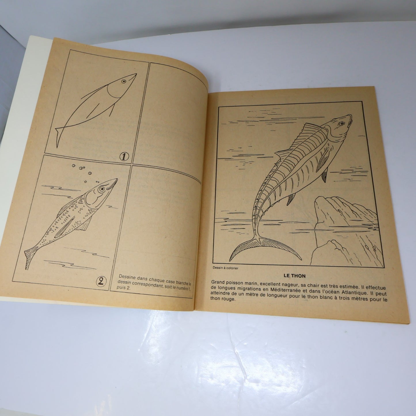 J'Apprends à Dessiner Lot 7 Livres à Colorier Québec Agenda Poissons/Espace 1984