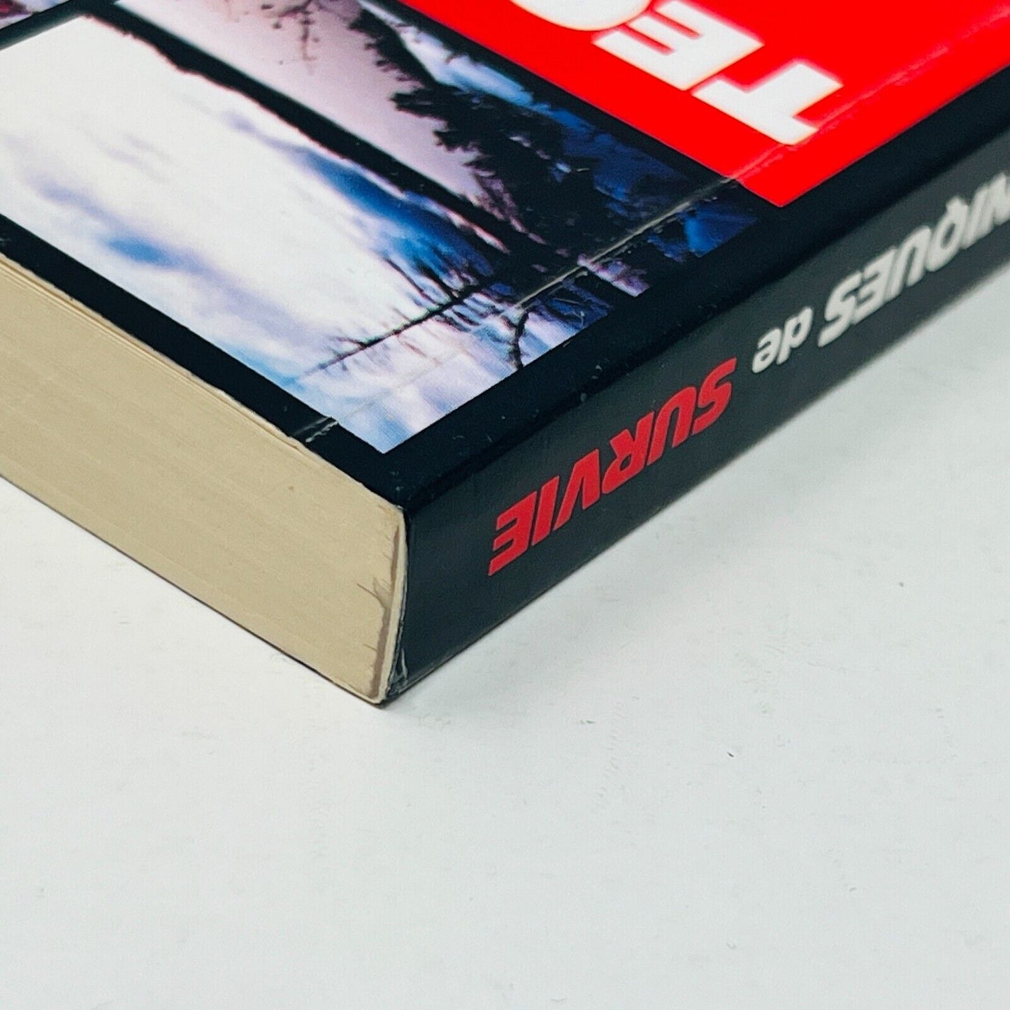 1983 Techniques de Survie Deuxième Édition de Jean-Georges DesChenaux Survival