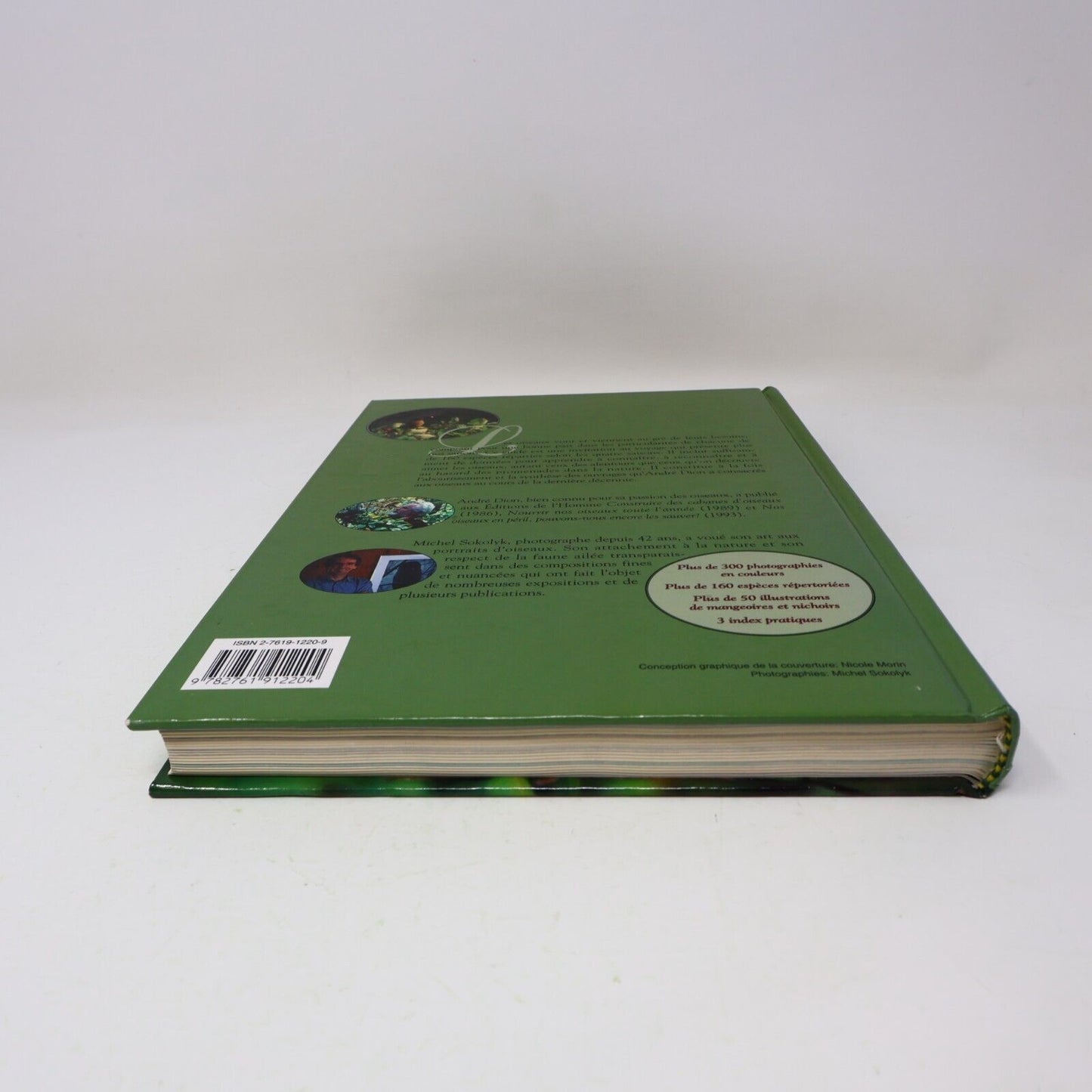 1995 Guide des Oiseaux Saison par Saison Dion/Sokolyk Ornithologie Animaux Livre