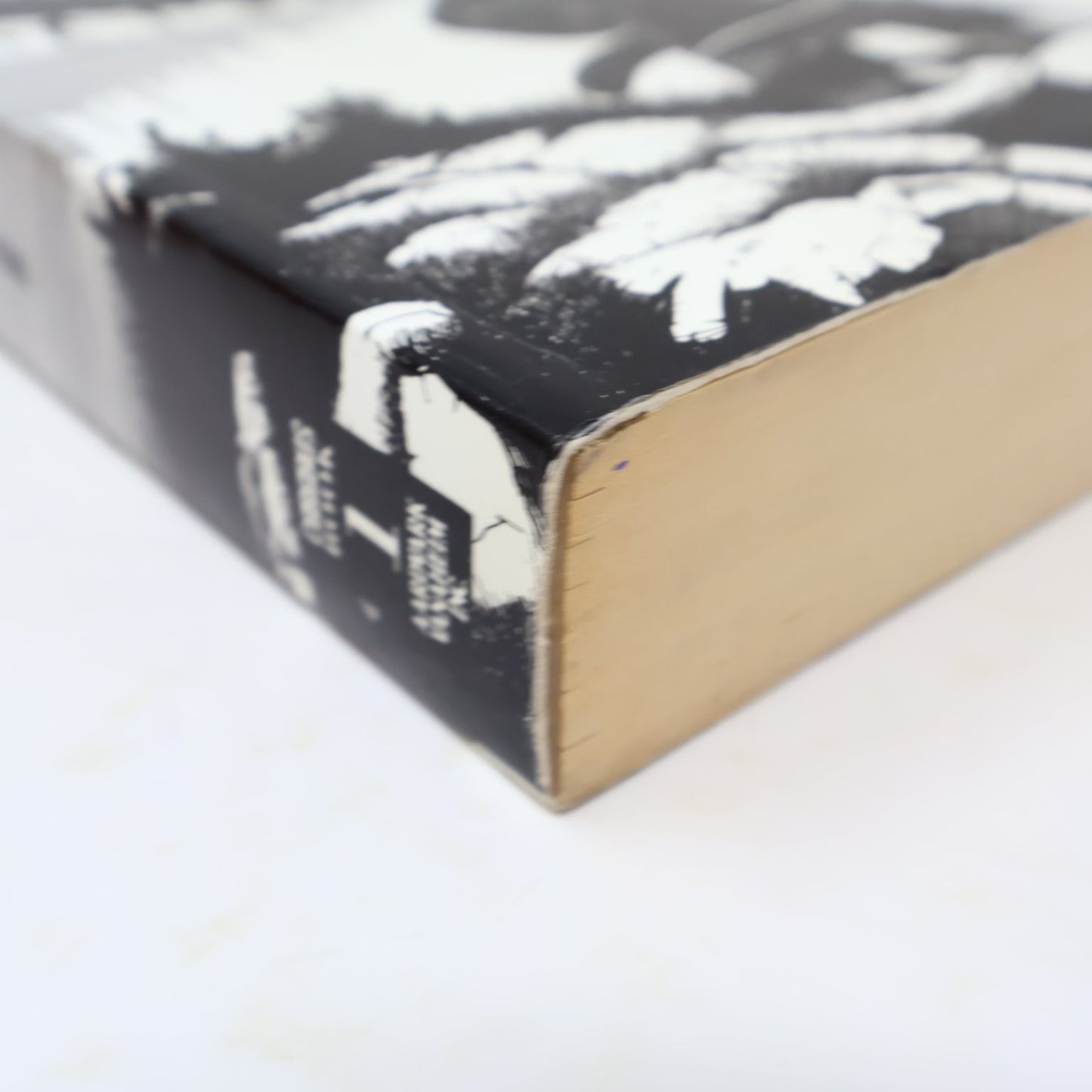 Cerebus TPB Book One by Dave Sim Reprinting Issues 1-25 Black & White 2003 Comic