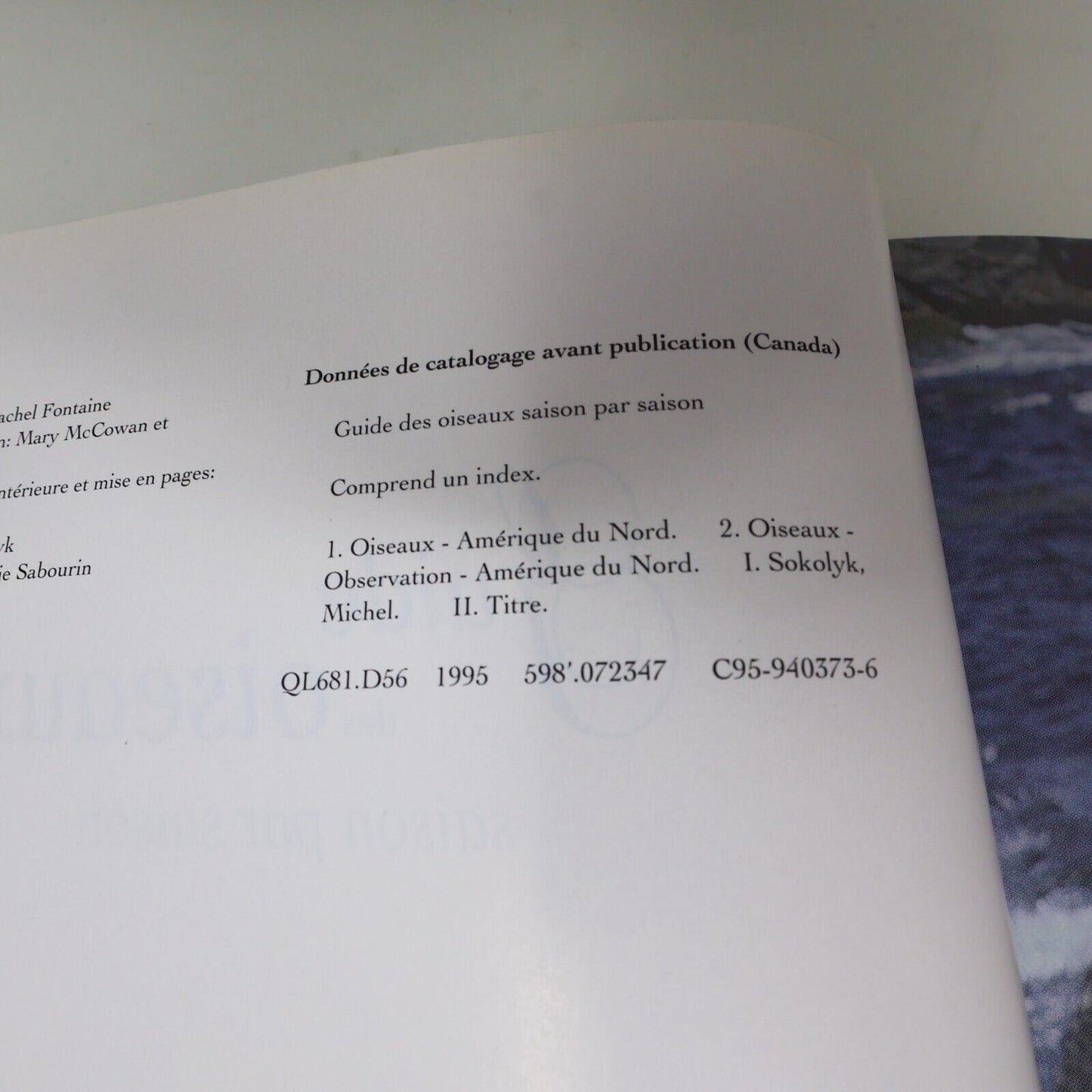 1995 Guide des Oiseaux Saison par Saison Dion/Sokolyk Ornithologie Animaux Livre