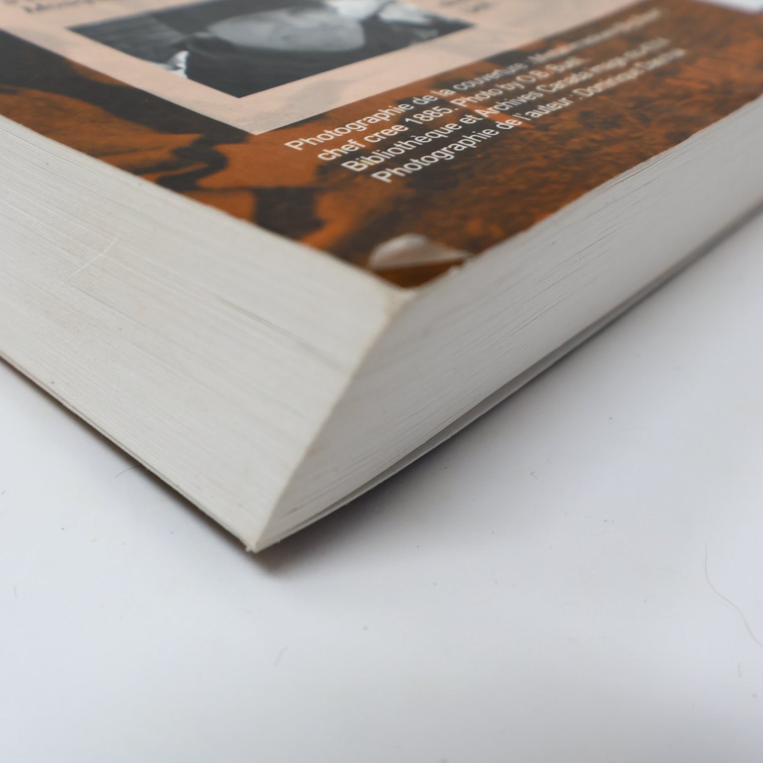 La Destruction des Indiens des Plaines James Daschuk 2015 Français/French PB PUL