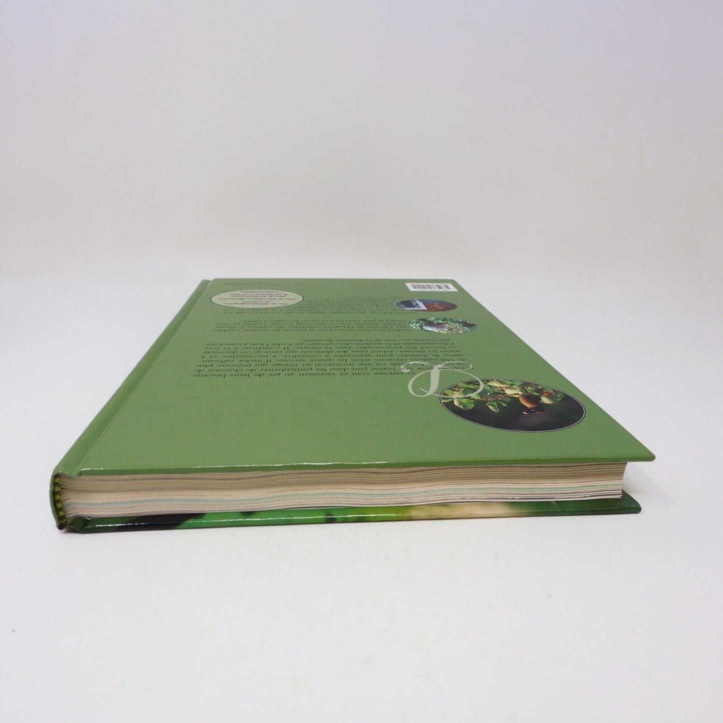 1995 Guide des Oiseaux Saison par Saison André P. Dion Michel Sokolyk Animaux HC