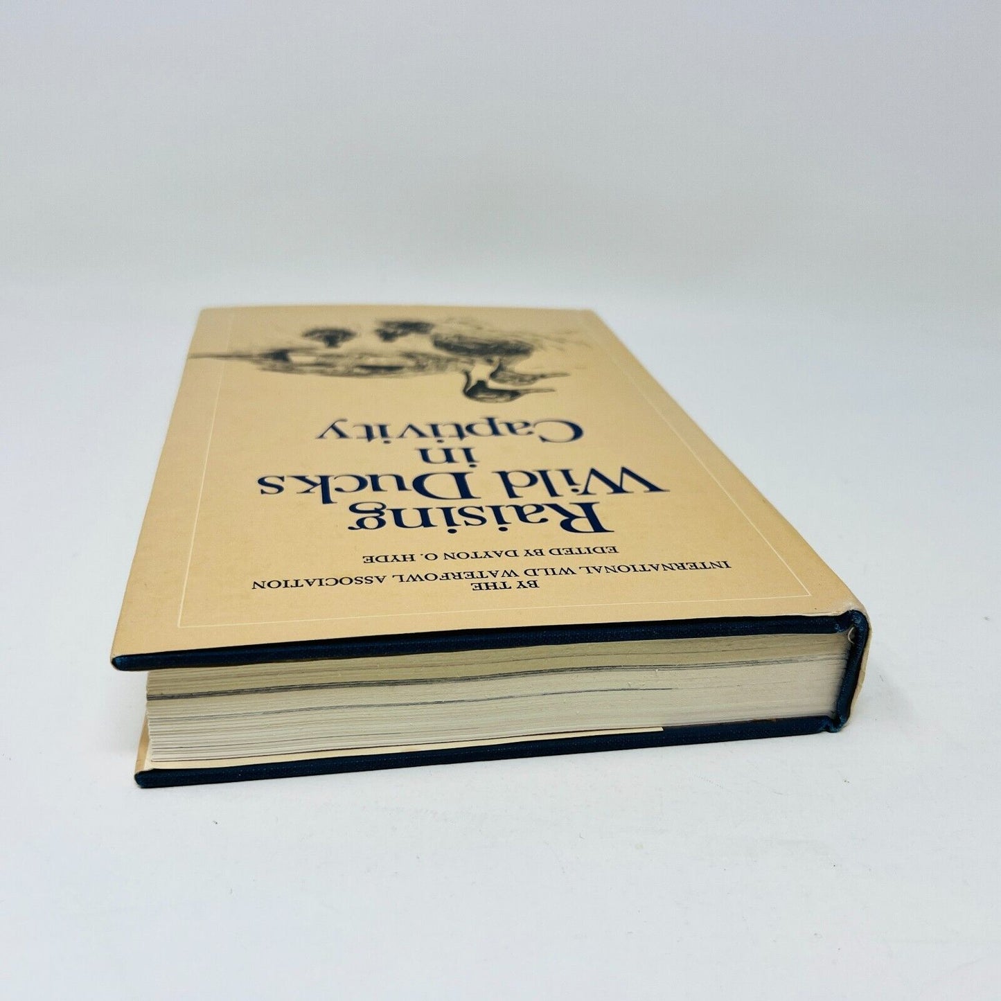 1974 Raising Wild Ducks in Captivity by Dayton O. Hyde Hardcover DJ Dutton IWWA