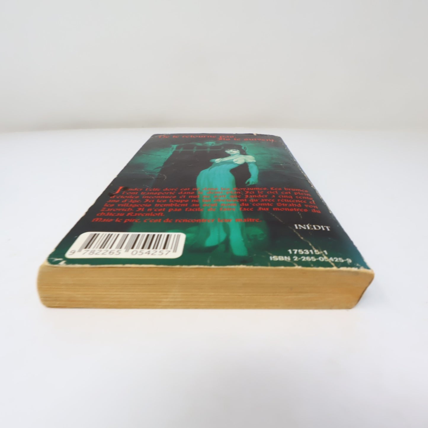Le Vampire des Brumes Christie Golden Ravenloft #1 Fleuve Noir 1995 PB Français