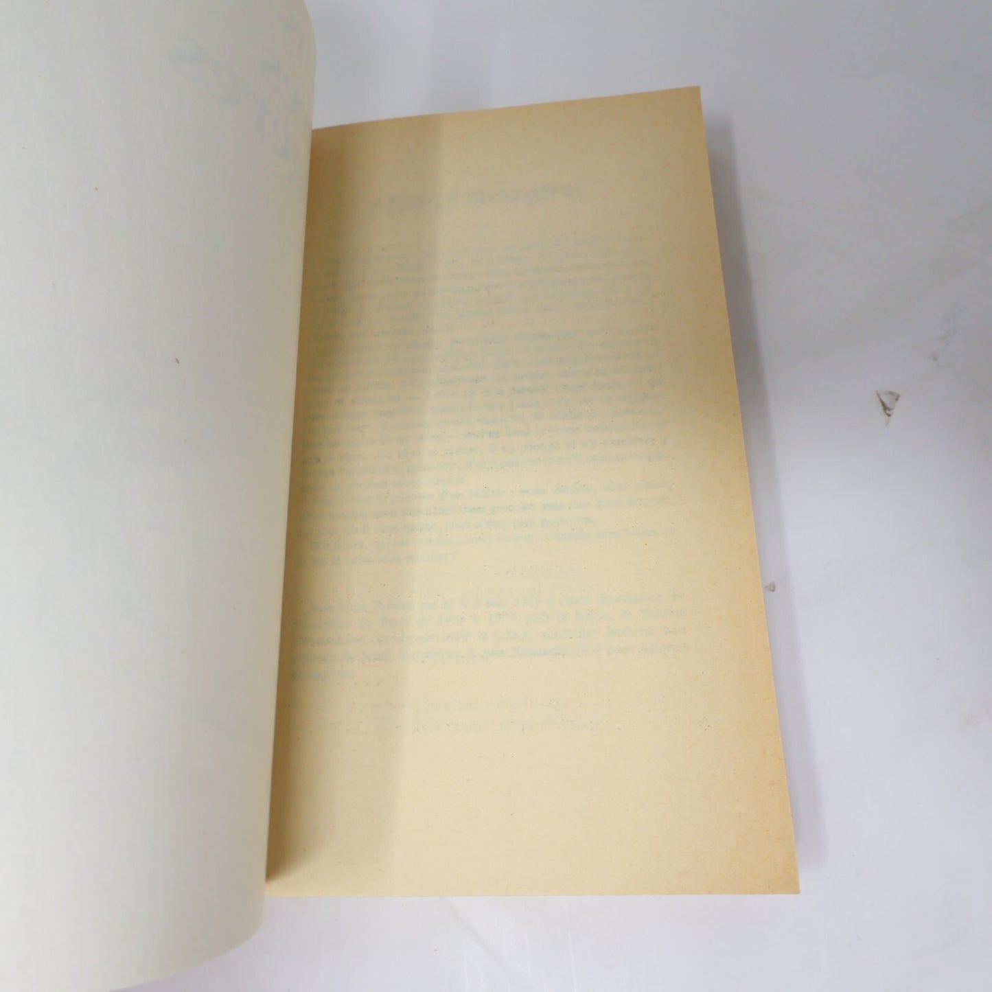 Jean-Marc Roberts Lot 2 Livres Les Enfants de Fortune/Affaires Étrangères Roman