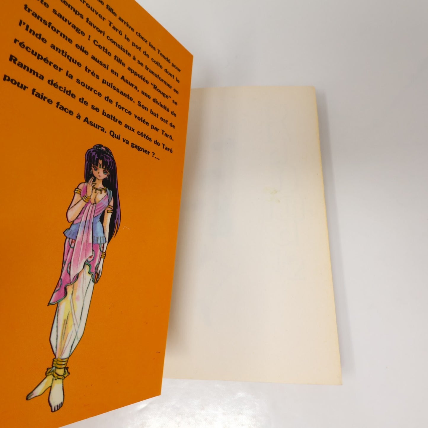 Ranma 1/2 Lot 10 Mangas Rumiko Takahashi Glénat Le Cordon Bleu PB Français 90s