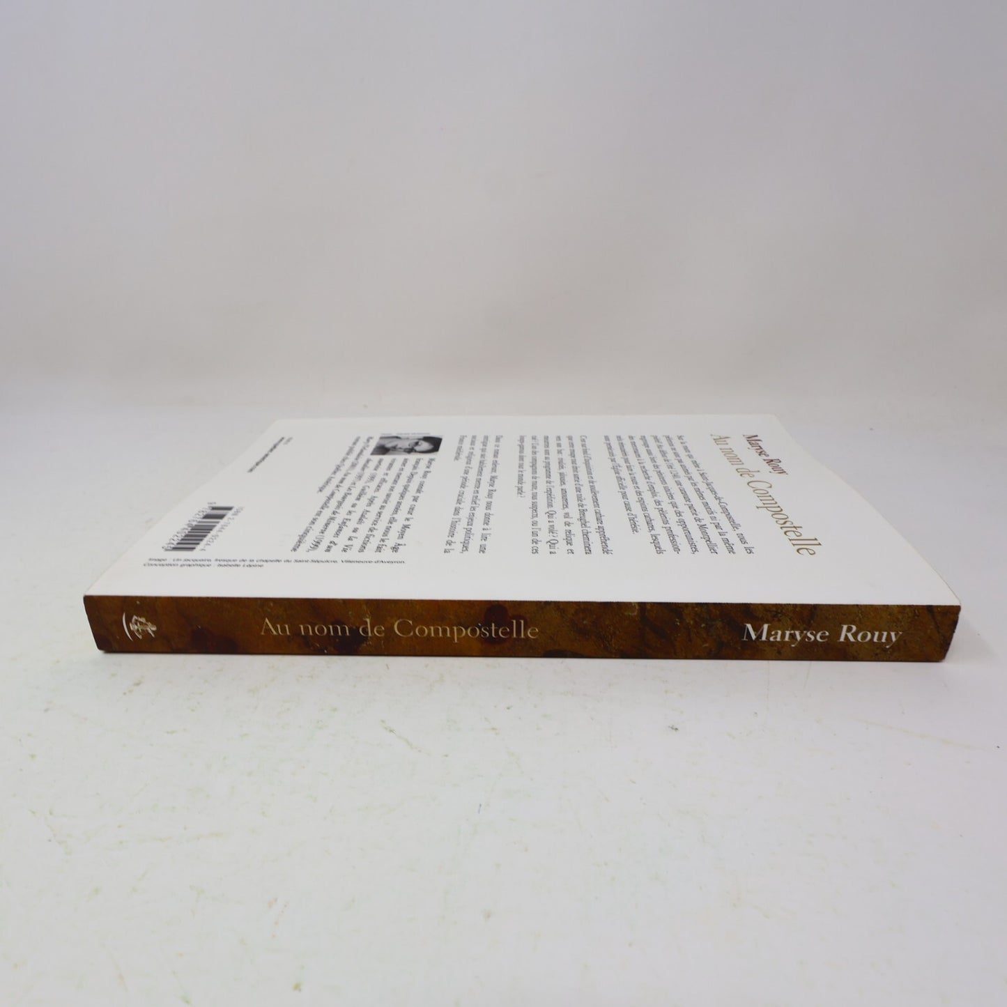2003 Au Nom de Compostelle Maryse Rouy Québec Amérique Fiction Historique Livre