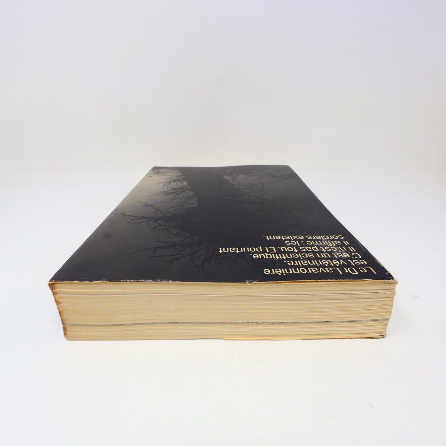 1973 L'Oeil du Sorcier Philippe Alfonsi Patrick Pesnot Ésotérisme Robert Laffont