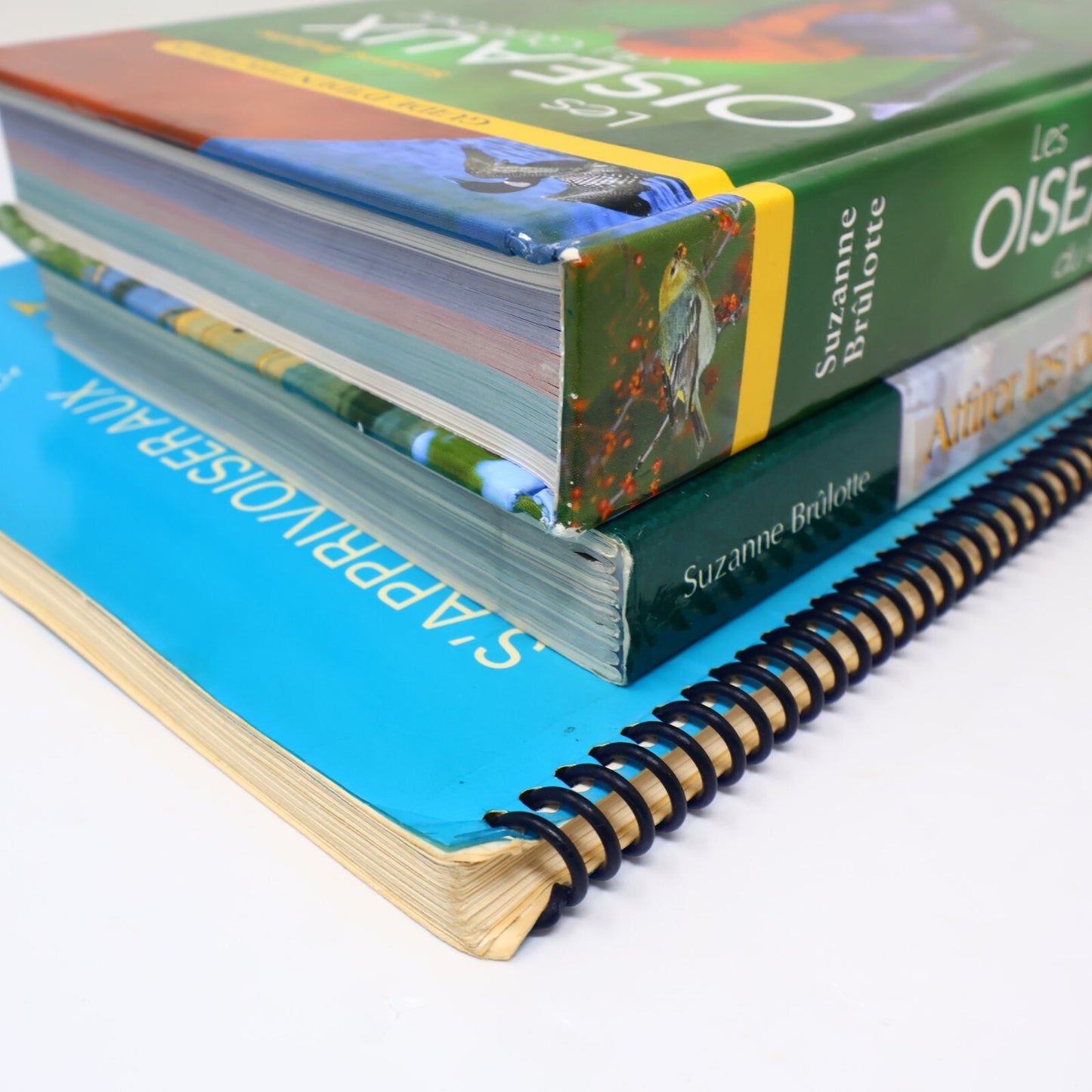 Suzanne Brûlotte Lot 3 Livres Les Oiseaux du Québec Guide d'Identification Books