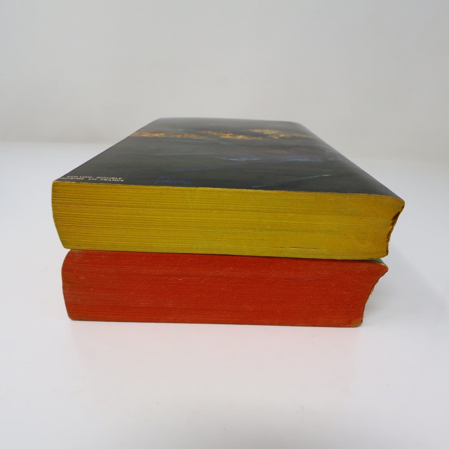 Émile Zola Lot 2 Livres Poche La Joie de Vivre/Bête Humaine Roman France French