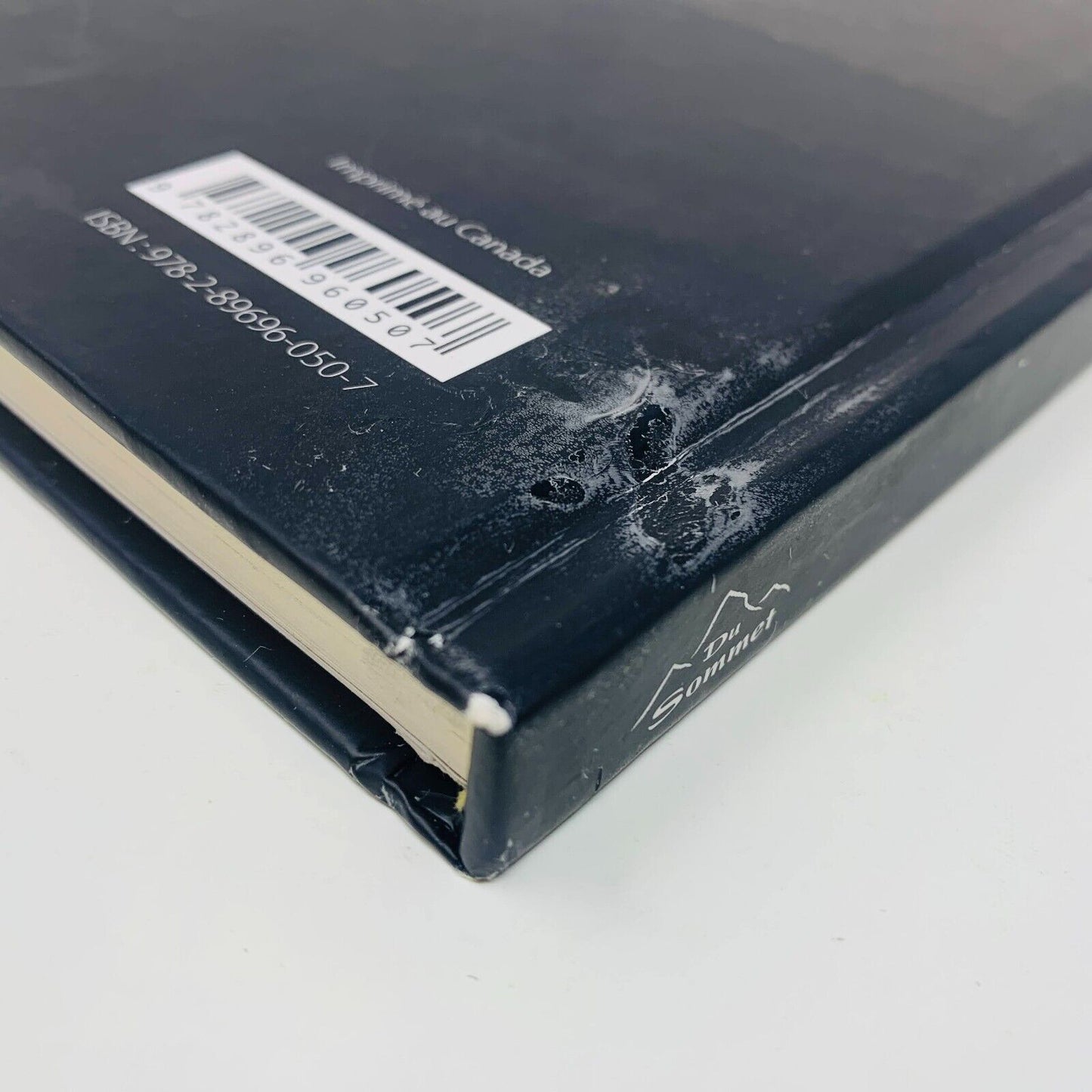 2013 Paul Tex Lecor Mon Monde Pour Vous Français/Anglais Livre sur Peintures Art