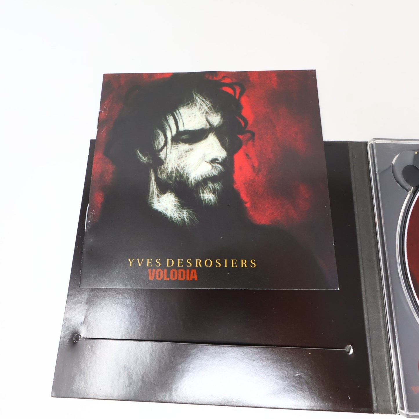 Yves Desrosiers Lot 2 CD Volodia/Bordel De Tête Audiogram Pas Besoin/Saint-Exu