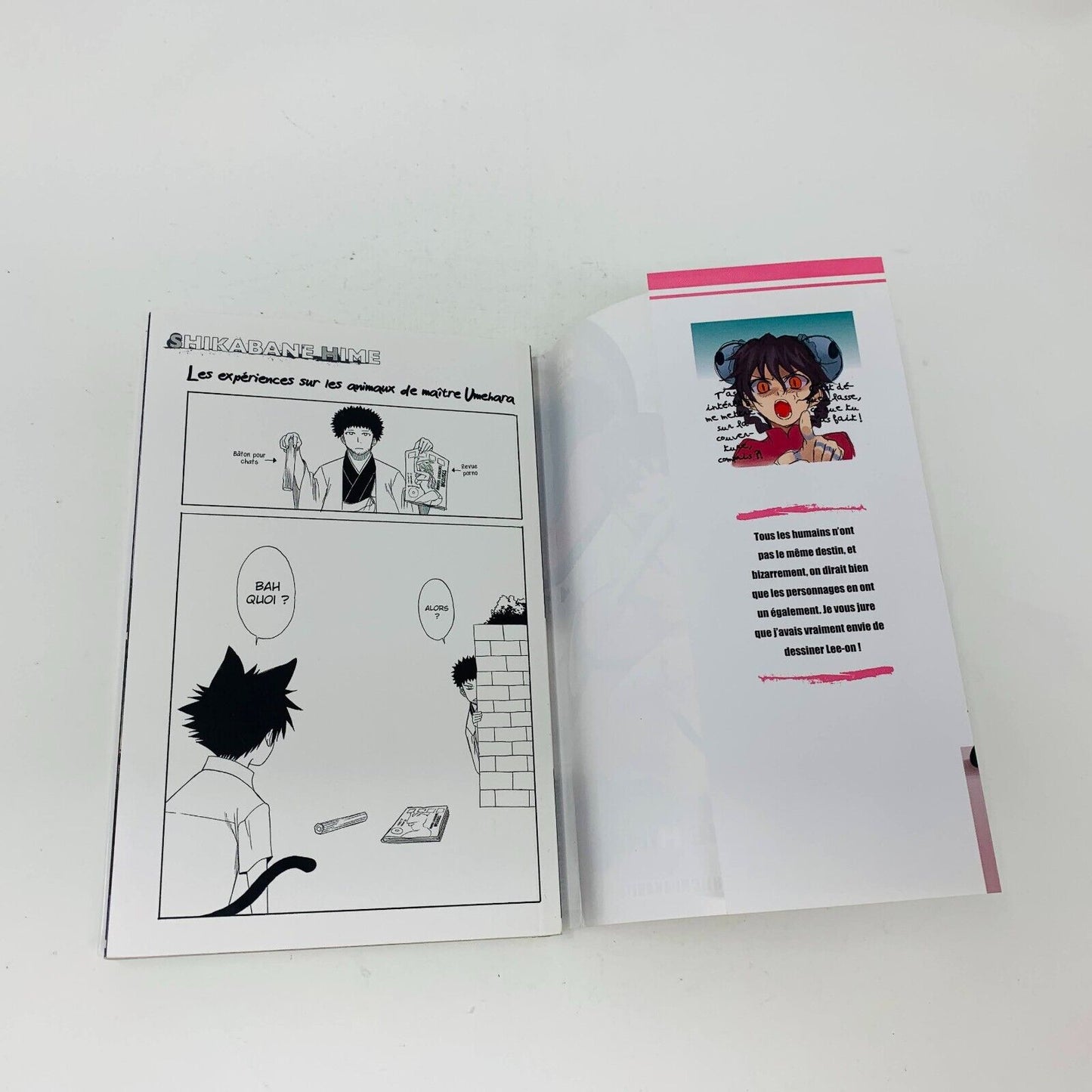 2013 Shikabane Hime Volume 14 Kazé Manga Shonen Up! Français Yoshiichi Akahito