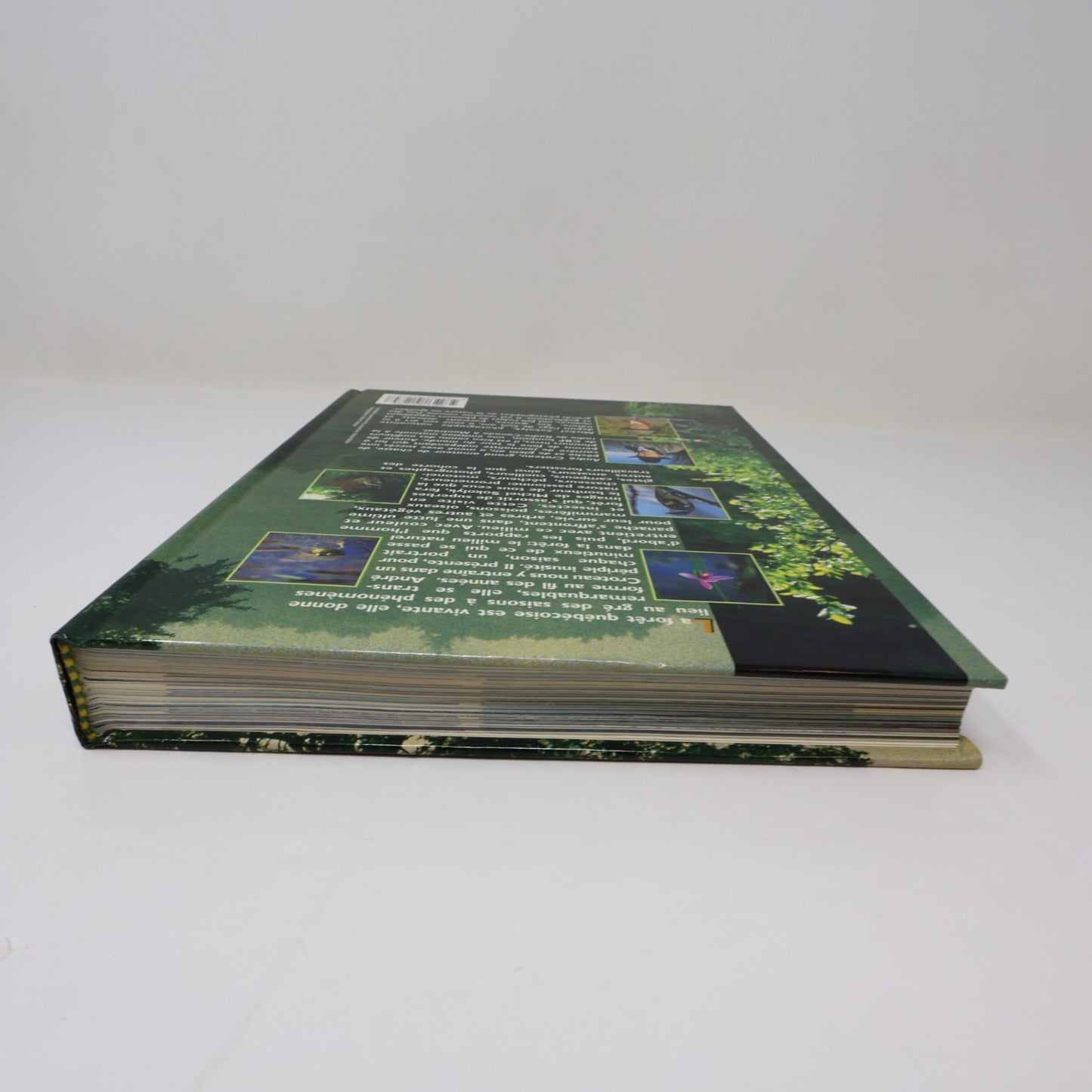 Guide de la Forêt Québécoise André Croteau De L'homme 1996 HC Arbres Nature 90s