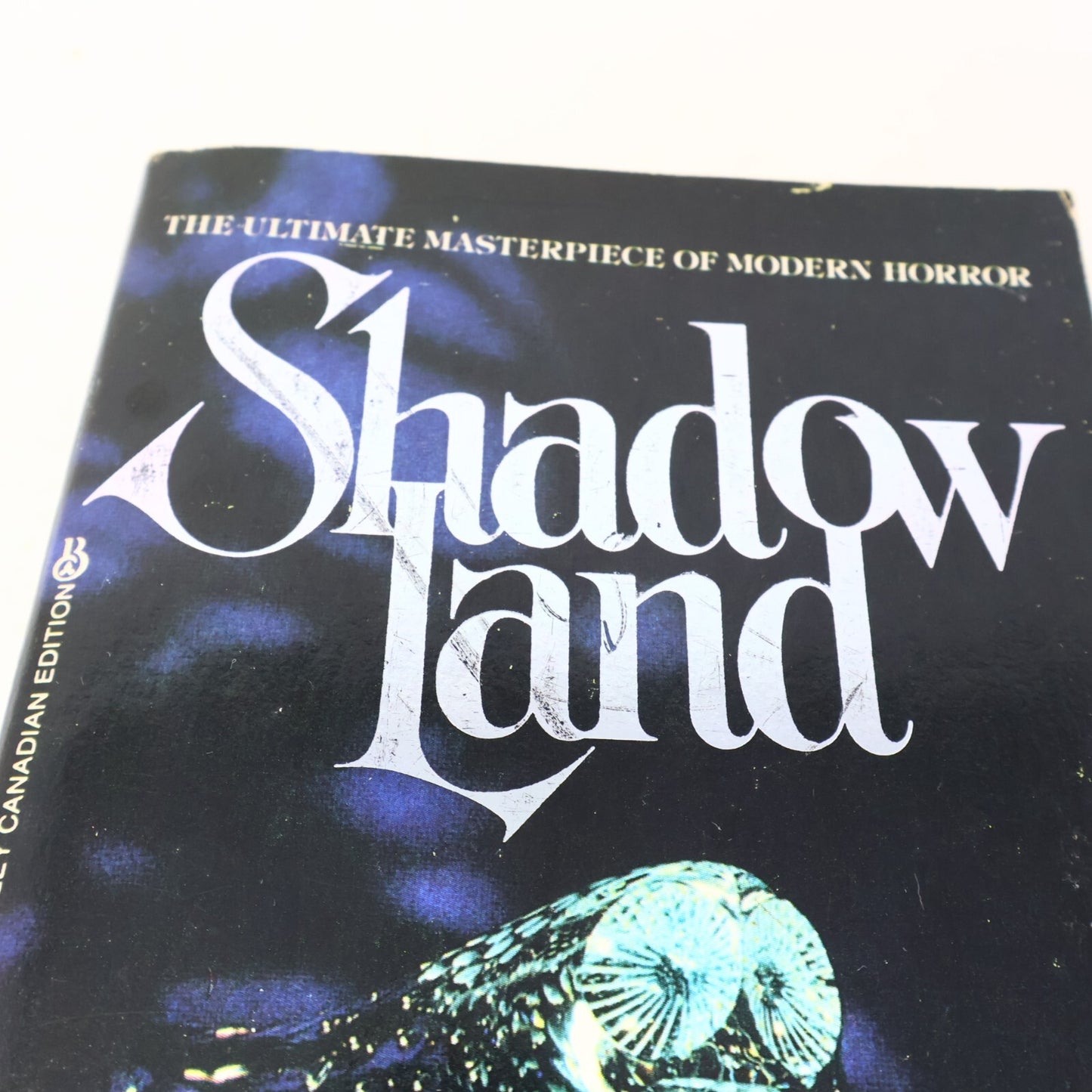 1981 Shadowland Peter Straub Berkley Horror Paperback Book 80s PB
