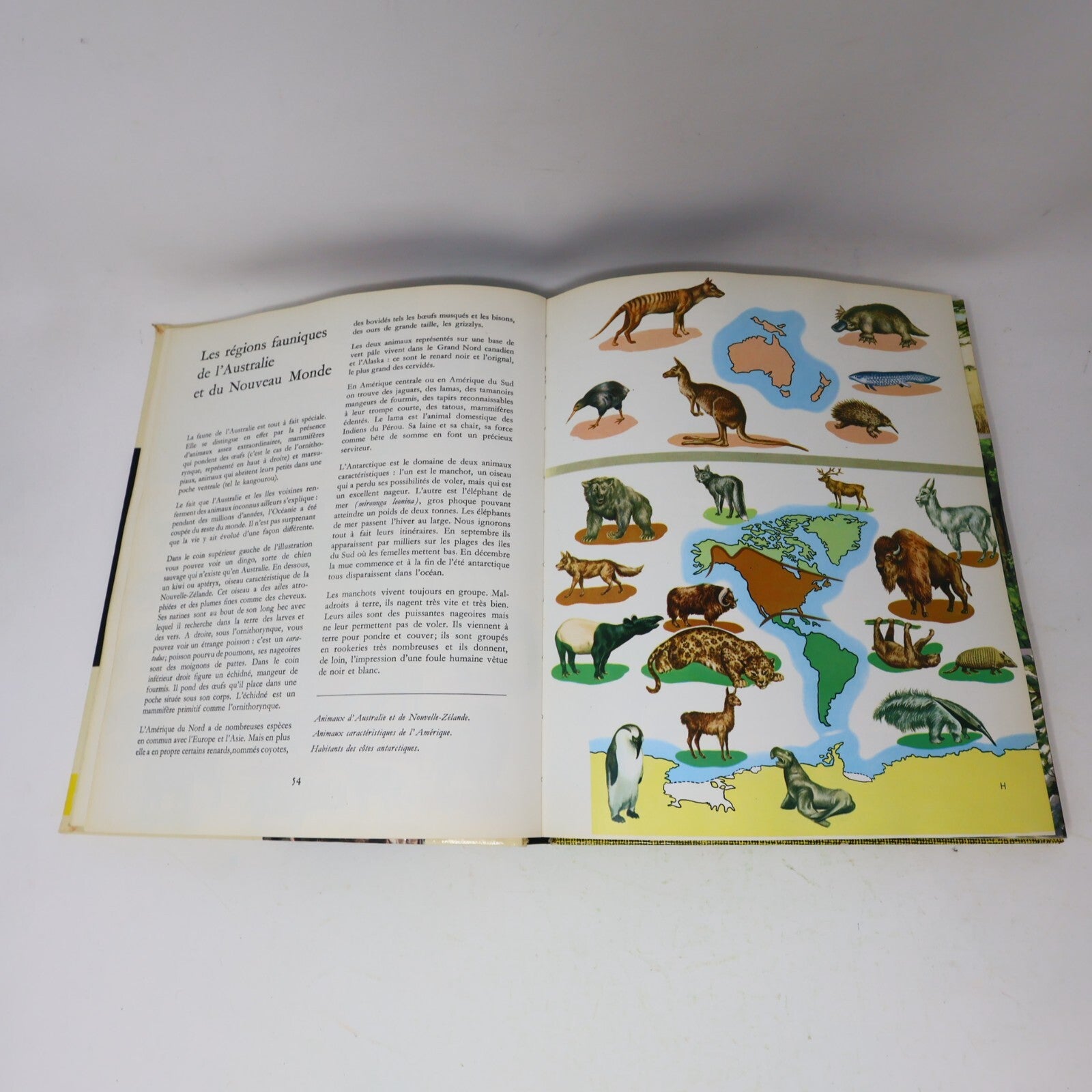 1969 L'Aventure de la Terre Géographie Histoire Sciences Globerama Casterman 60s