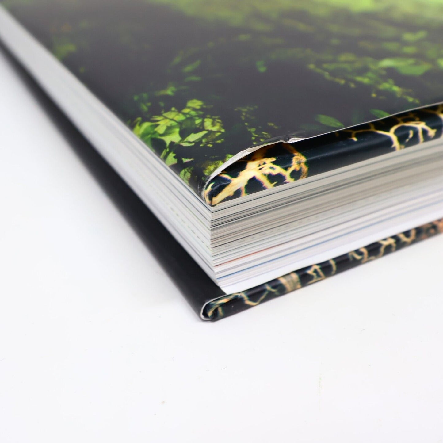 2014 Rainforest by Lewis Blackwell Nature Photos Harry N. Abrams Book Hardcover
