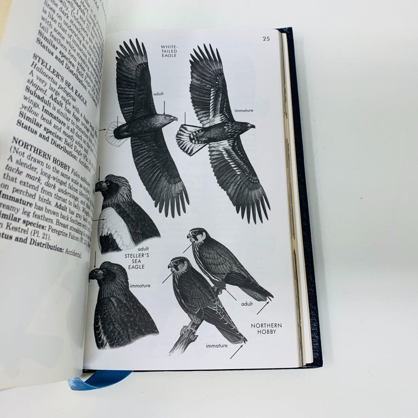 1987 Hawks Roger Tory Peterson Field Guide Collector's Ed Leather Bound Clark