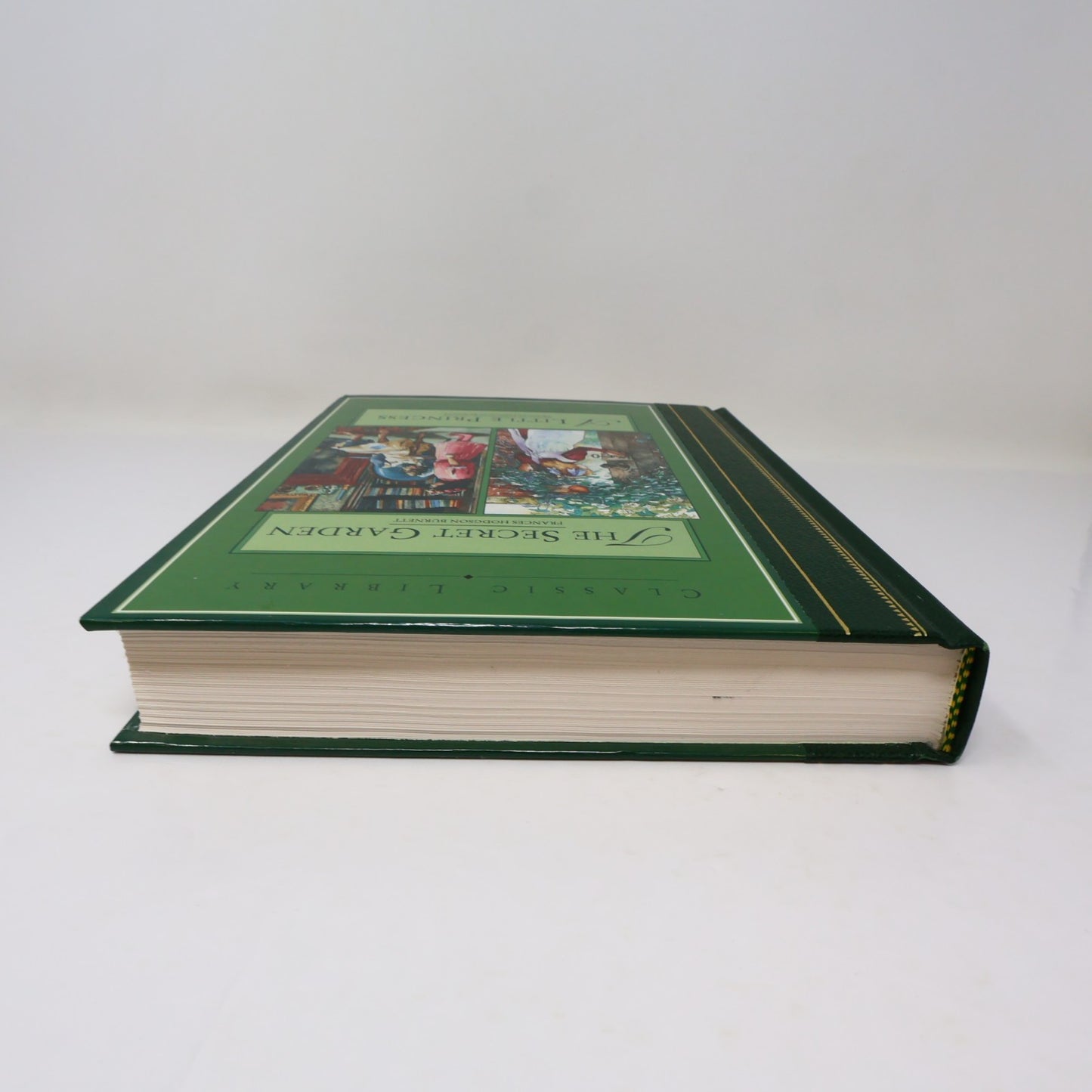 The Secret Garden/A Little Princess Frances Hodgson Burnett Classic Library 1995