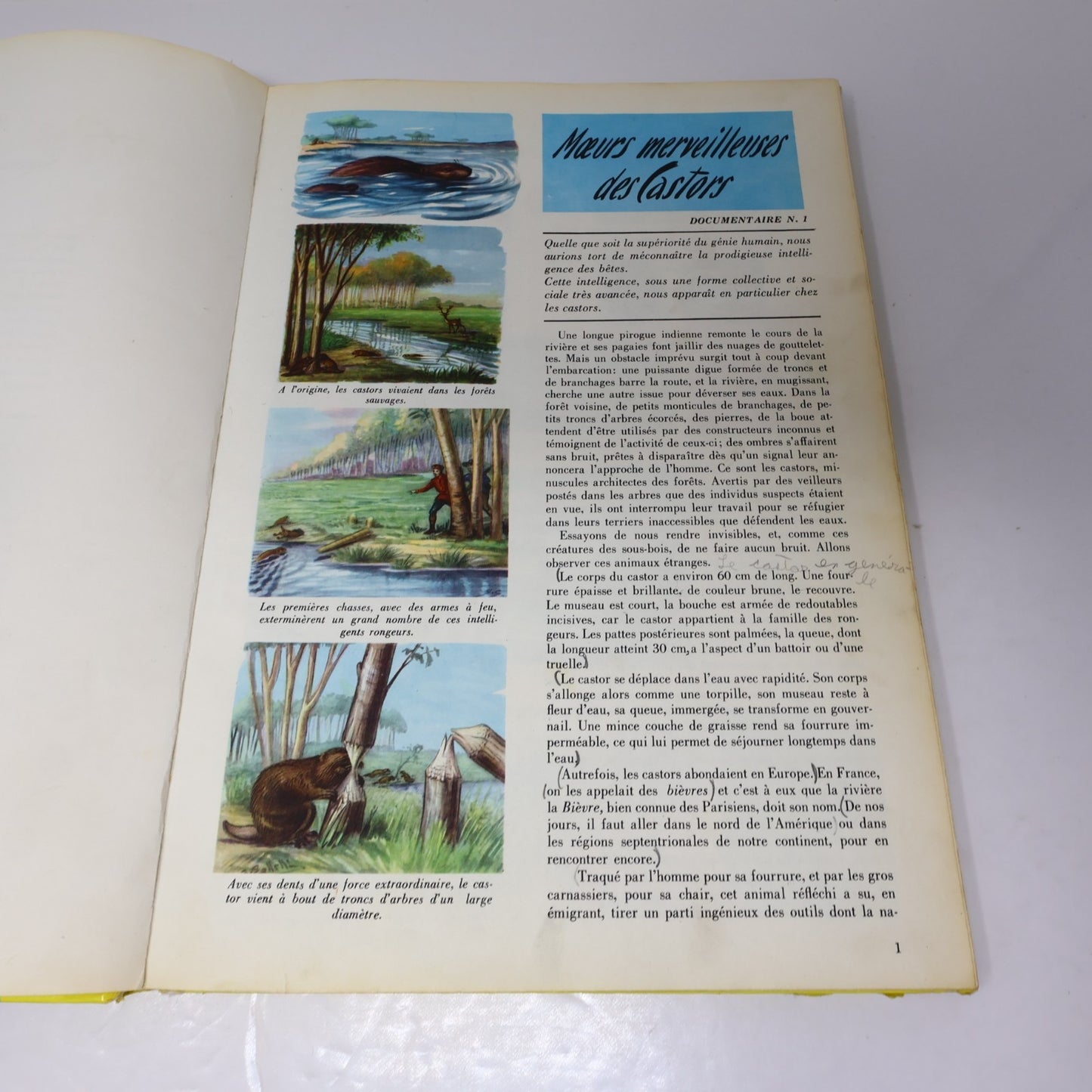 Le Nouveau Tout Connaître Encyclopédie en Couleurs Lot 24 Livres Histoire HC 60s