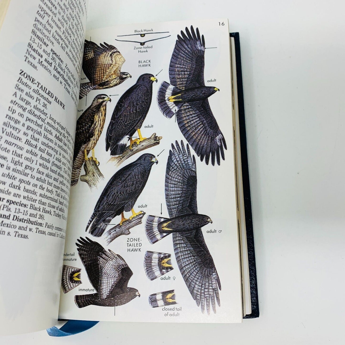 1987 Hawks Roger Tory Peterson Field Guide Collector's Ed Leather Bound Clark