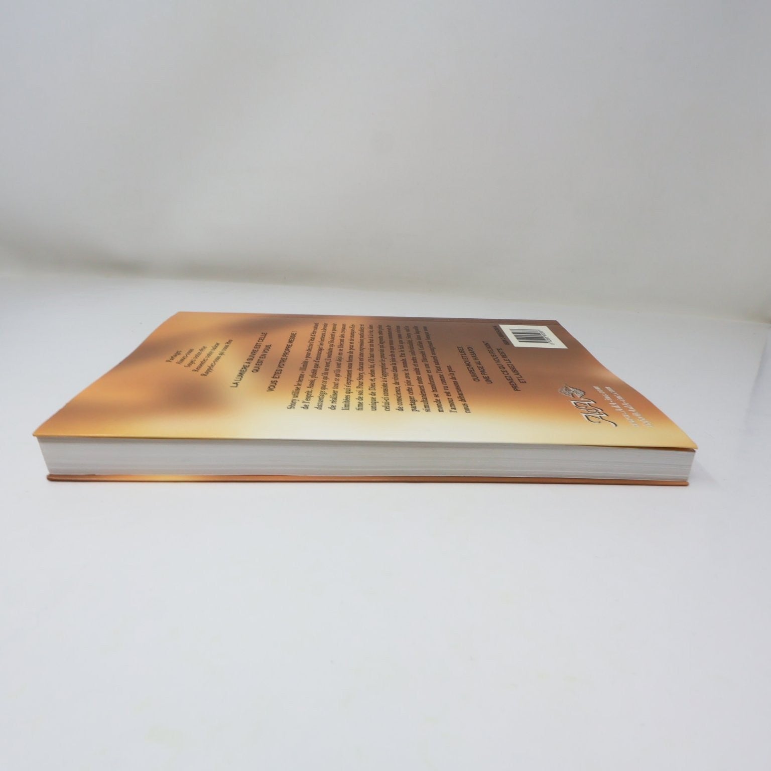 Les Semences du Messie Volume 1 Story Waters Livre 2005 Spiritualité Esprit AdA