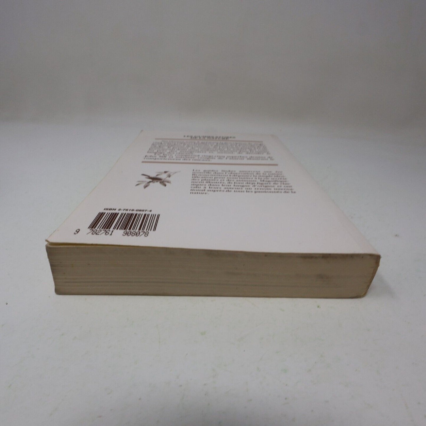 Nos Oiseaux Donald & Lillian Stokes Les Guides Stokes de la Nature #II (2) 1990