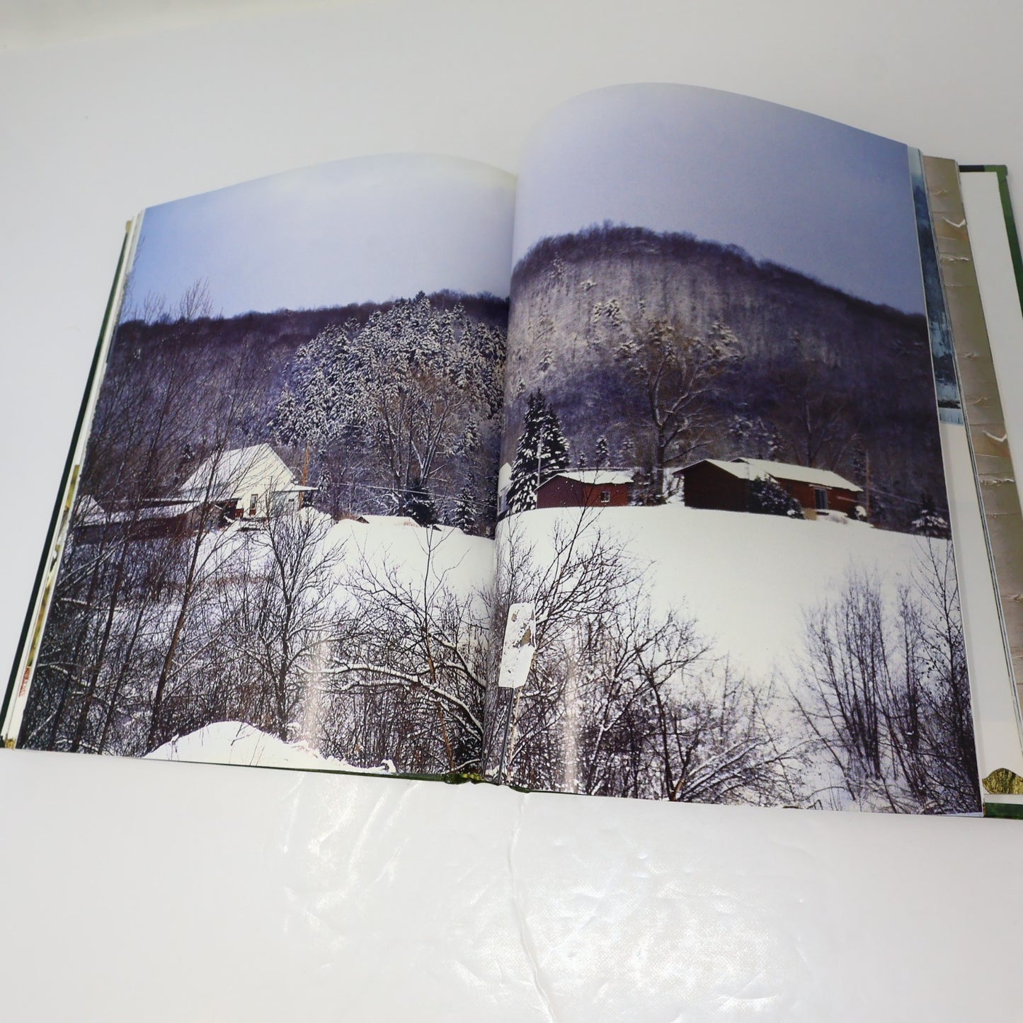 Guide de la Forêt Québécoise André Croteau De L'homme 1996 HC Arbres Nature 90s