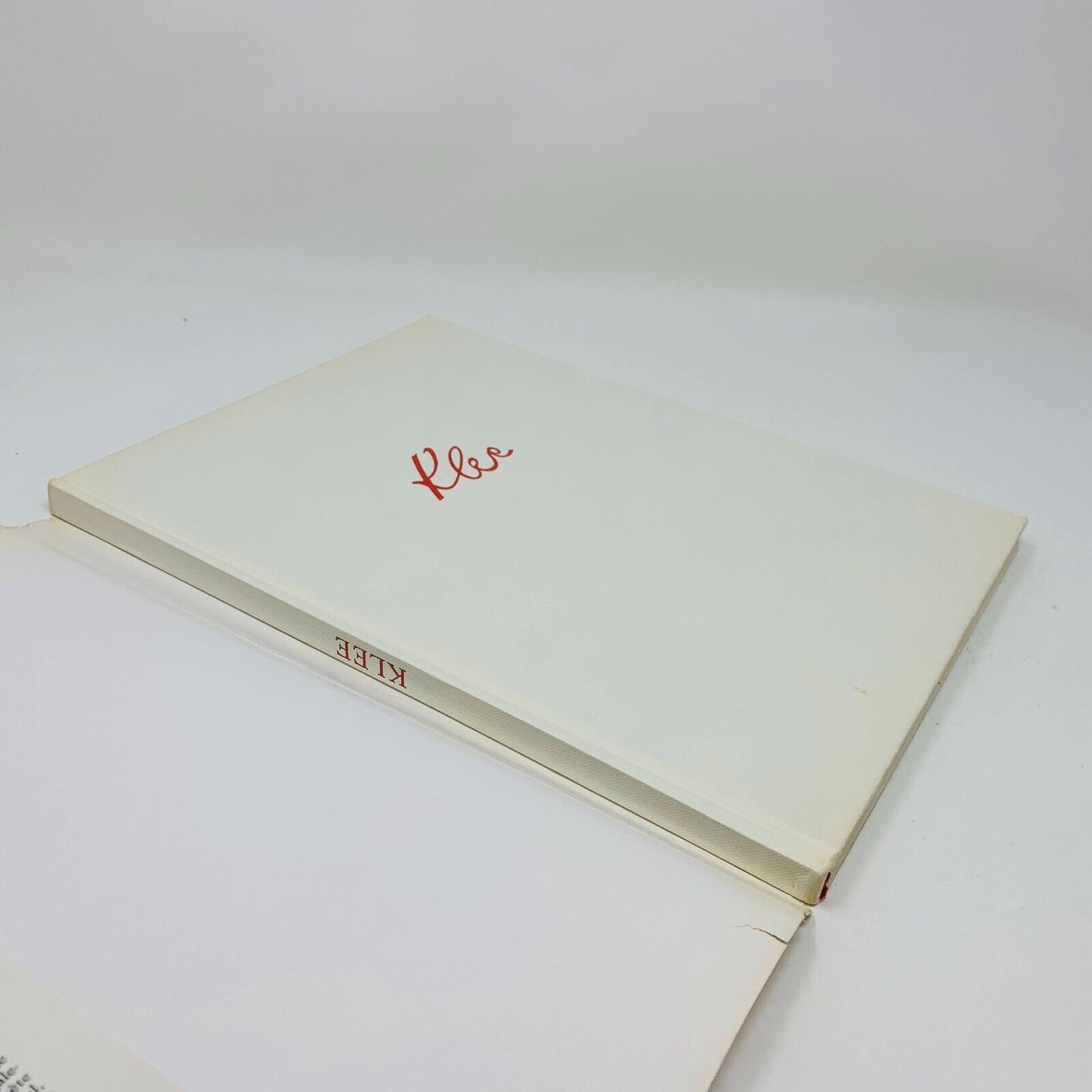 1971 Paul Klee par Denys Chevalier Flammarion Français/French Art Peinture HC DJ
