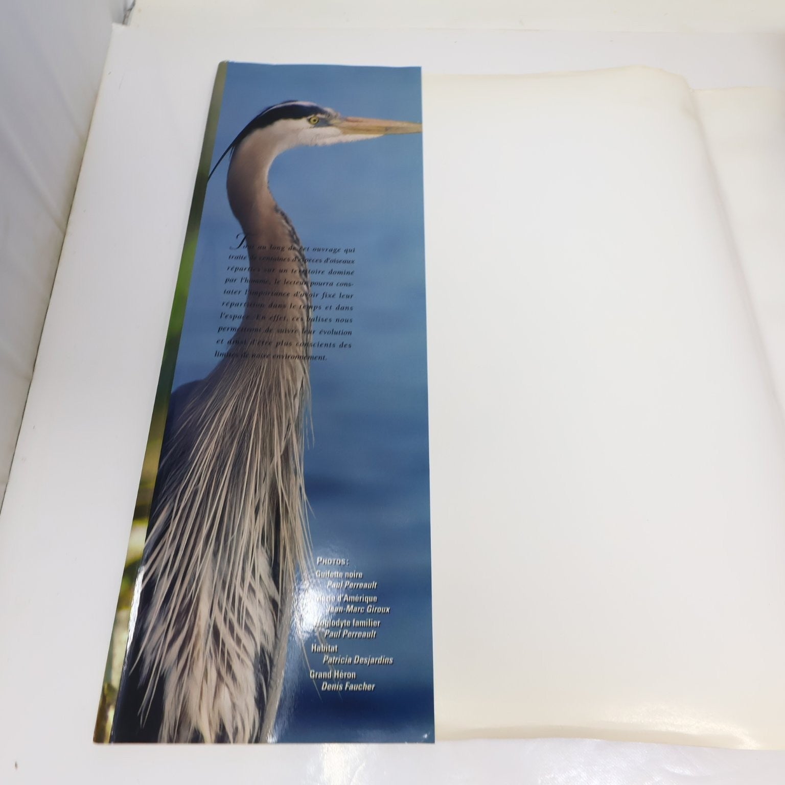Les Oiseaux Nicheurs du Québec Jean Gauthier 1995 Atlas Illustré Faune Birds