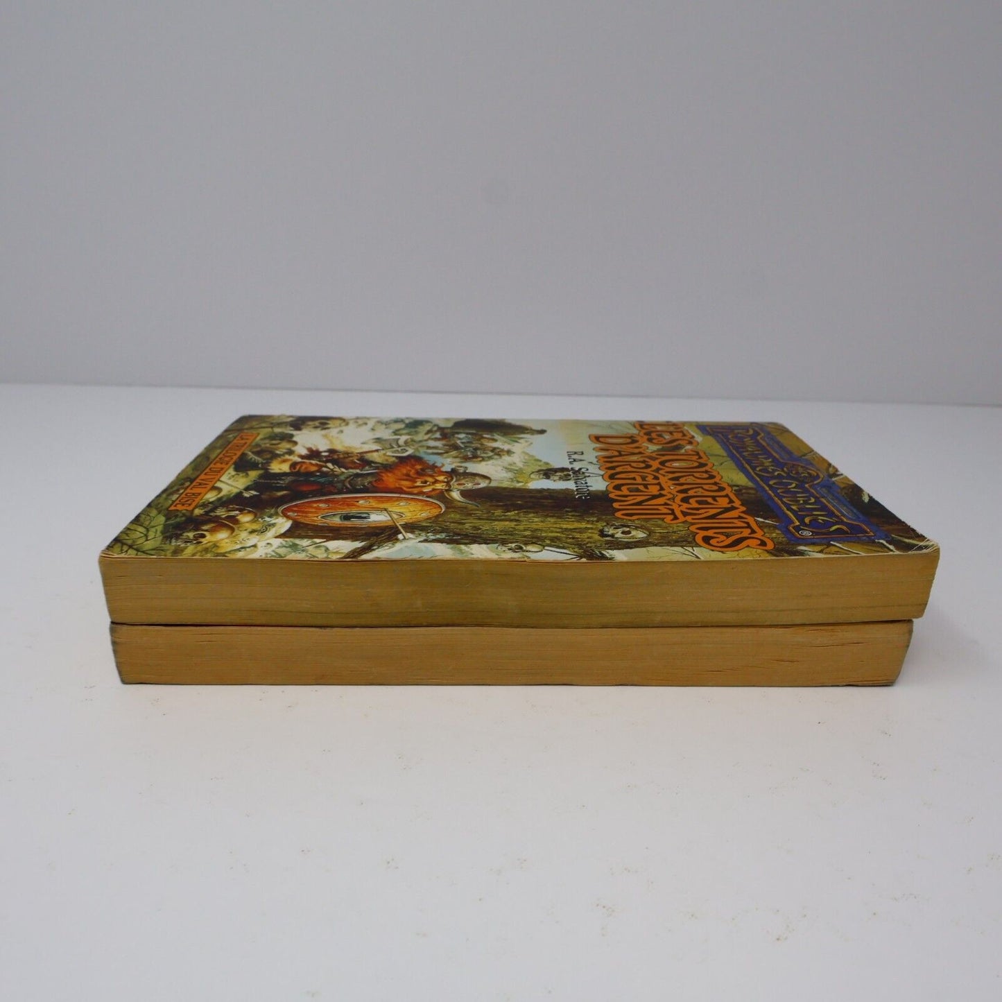 Lot 2 Livres Royaumes Oubliés #16-17 La Trilogie du Val Bise Fantasy Français PB
