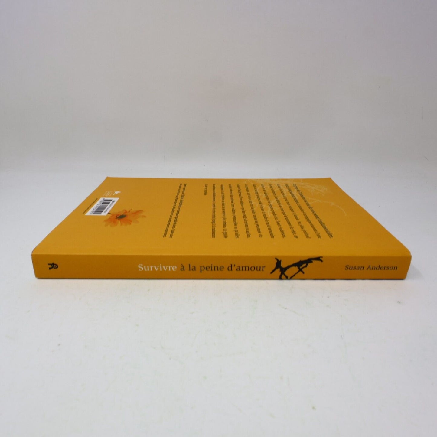 2009 Survivre à la Peine d'Amour Susan Anderson Psychologie Deuil Couple Livre