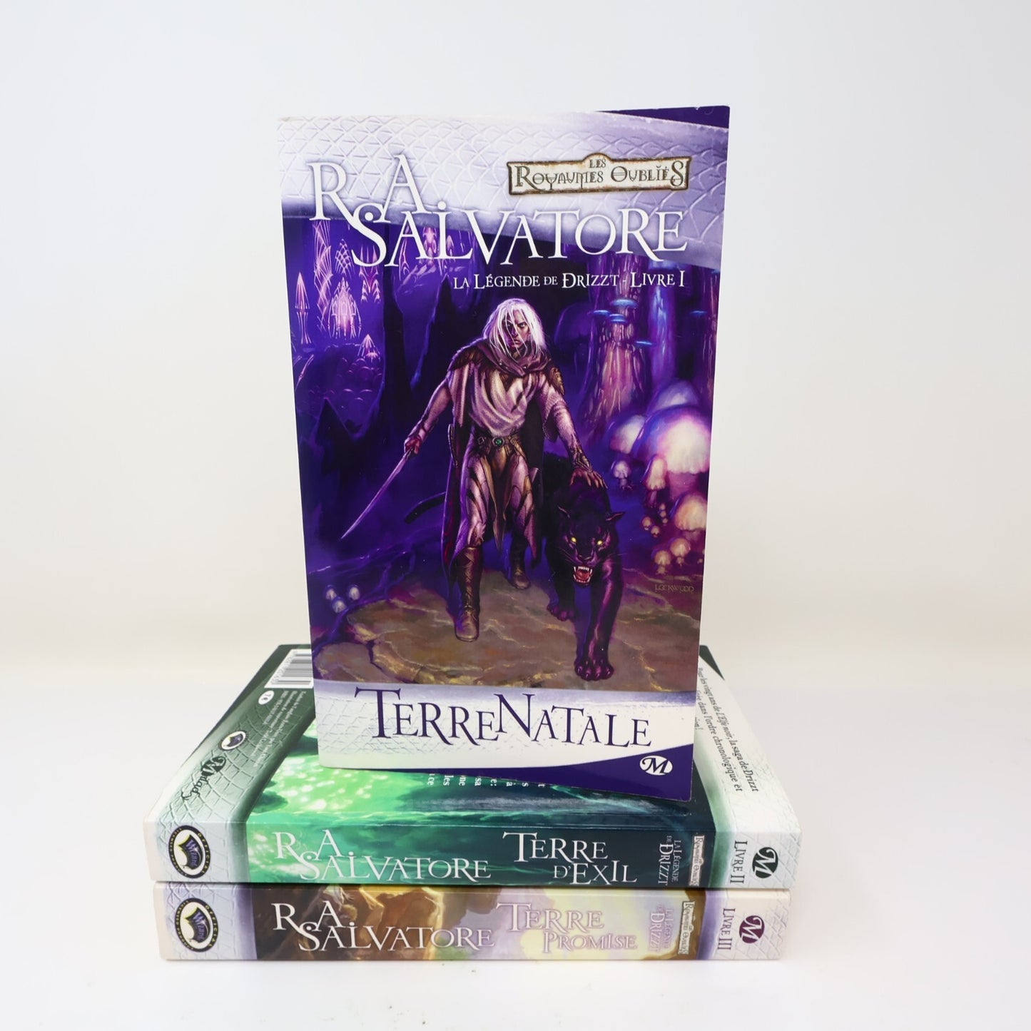 La Légende de Drizzt #1-3 Royaumes Oubliés Lot 3 Livres R.A. Salvatore Français