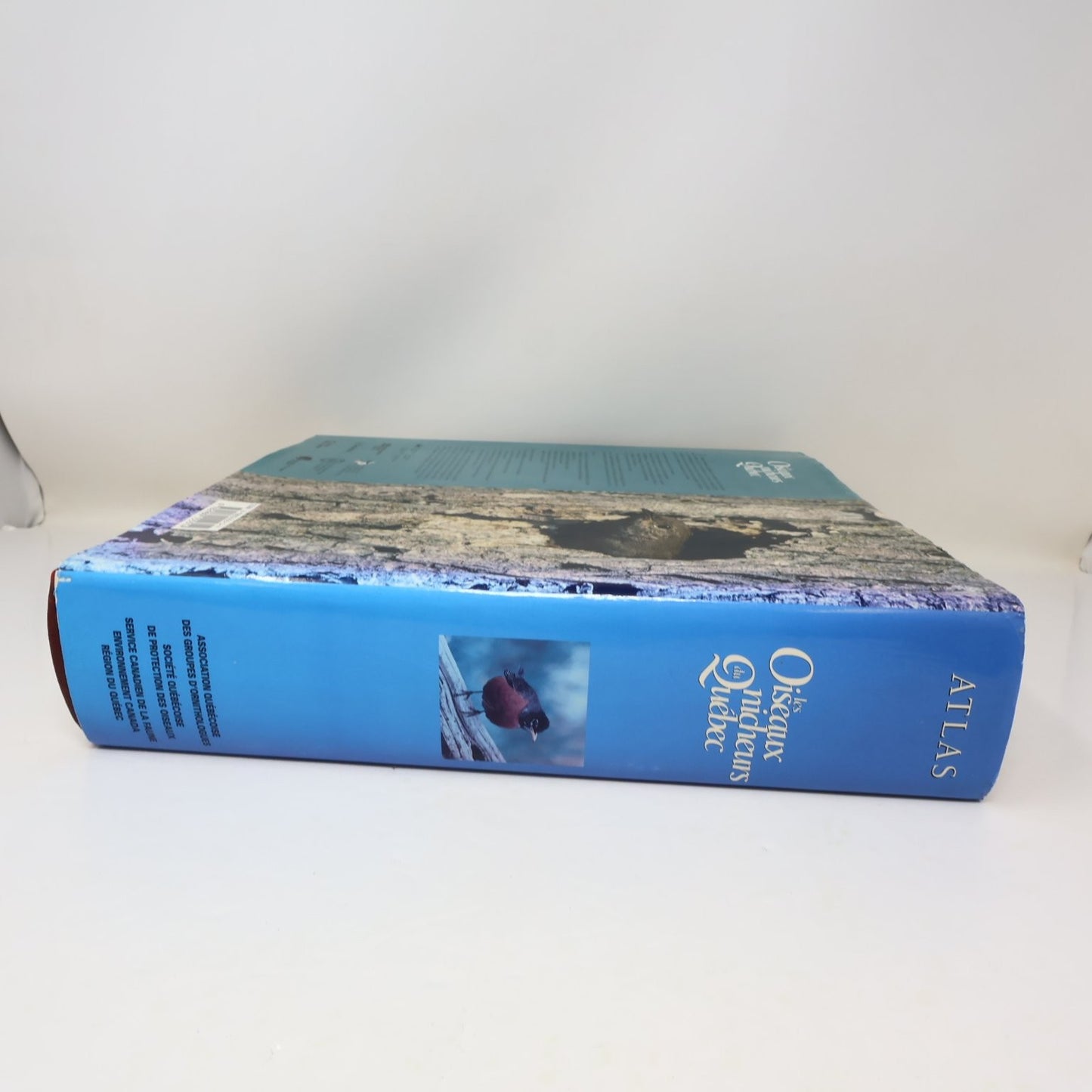 Les Oiseaux Nicheurs du Québec Jean Gauthier 1995 Atlas Illustré Faune Birds