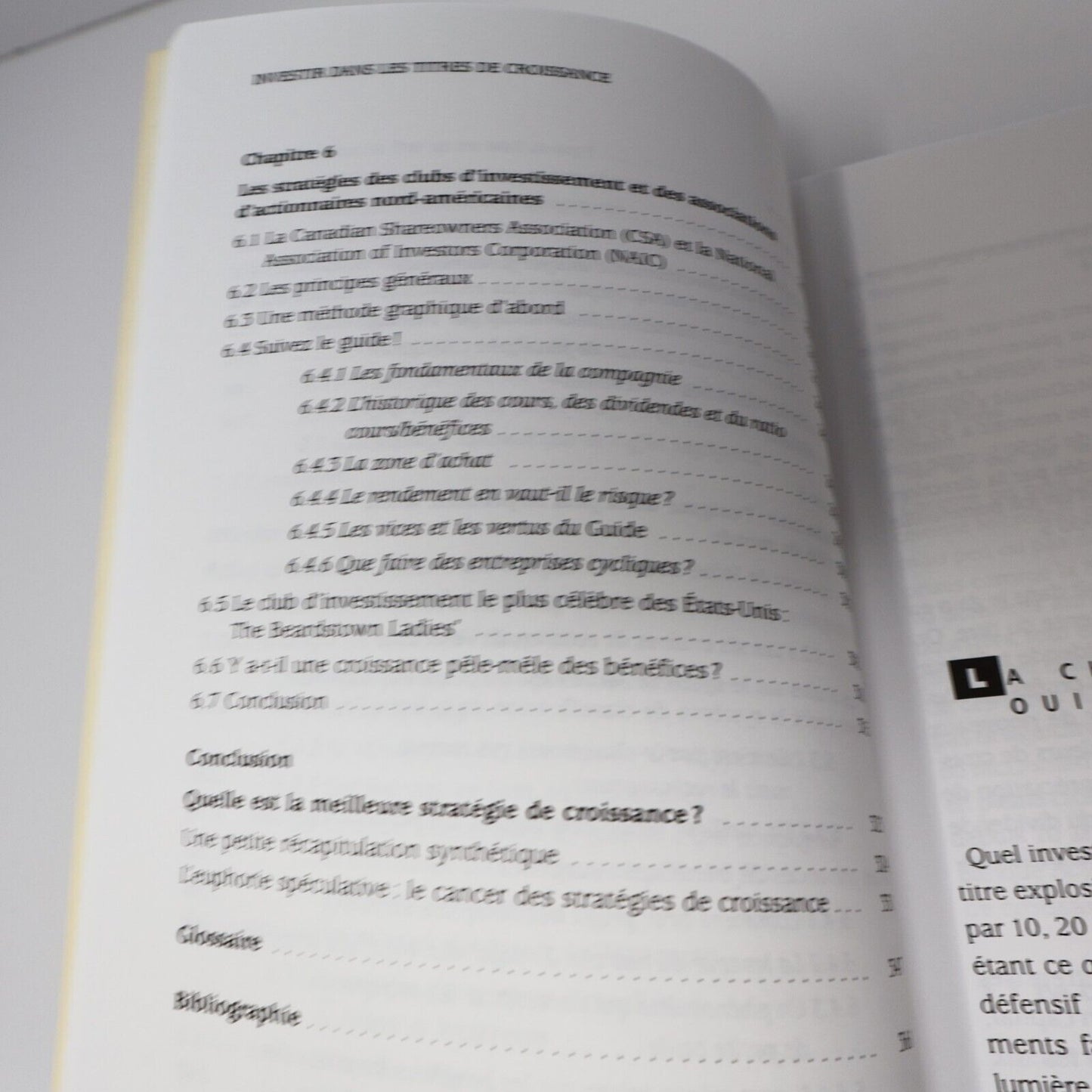 1999 L'Amérique Boursière #2 Investir dans les Titres de Croissance Bourse Livre