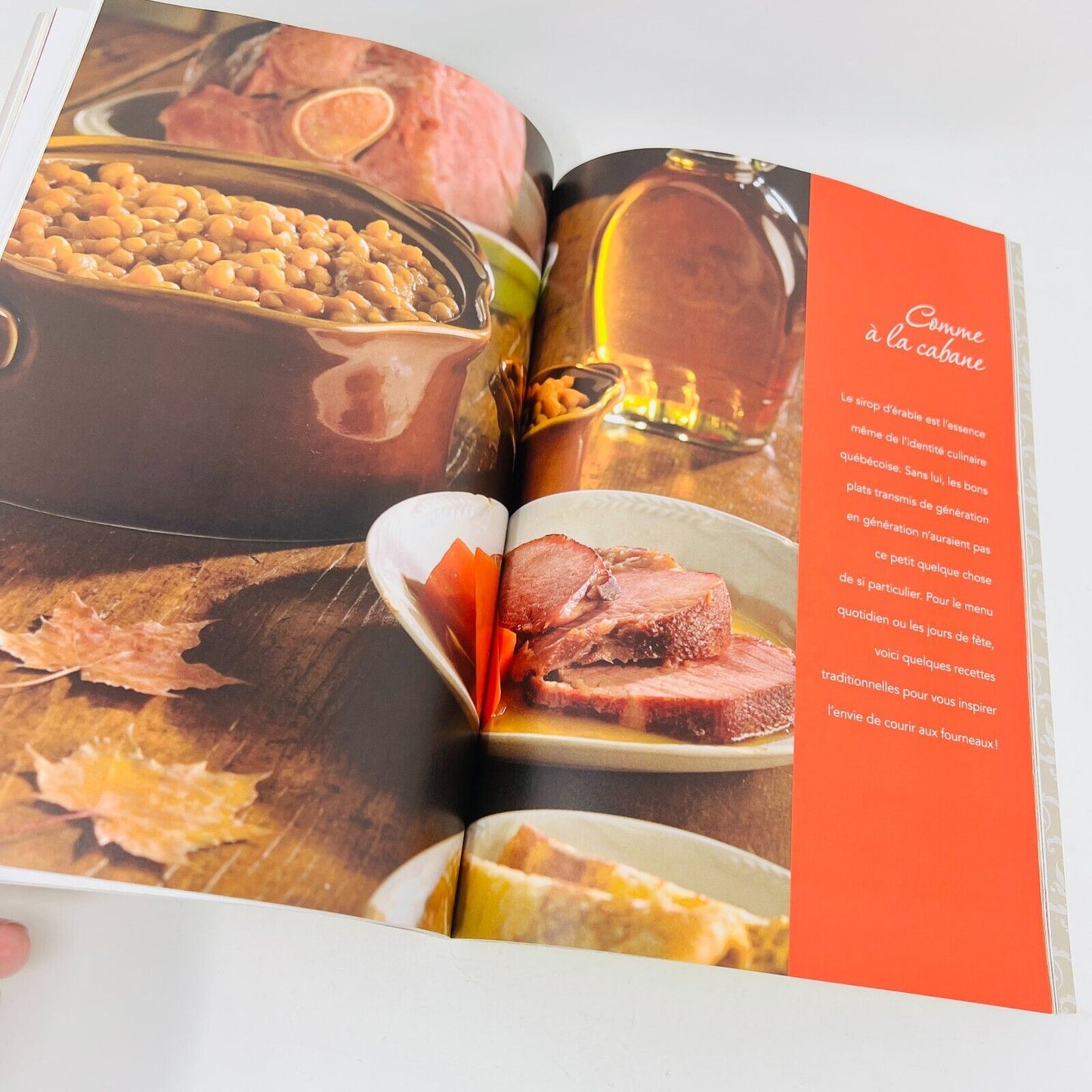 2x Les Plaisirs Gourmands de Caty Plats Mijotés À l'Érable Lot Livres Français