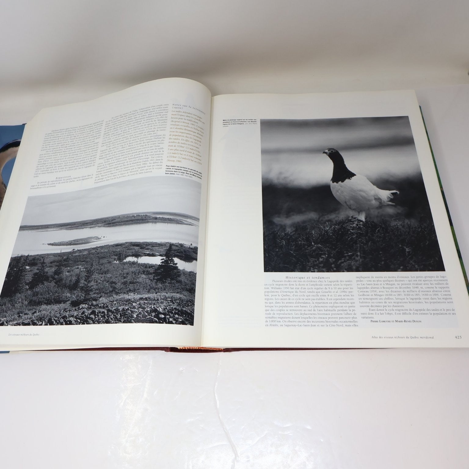 Les Oiseaux Nicheurs du Québec Jean Gauthier 1995 Atlas Illustré Faune Birds