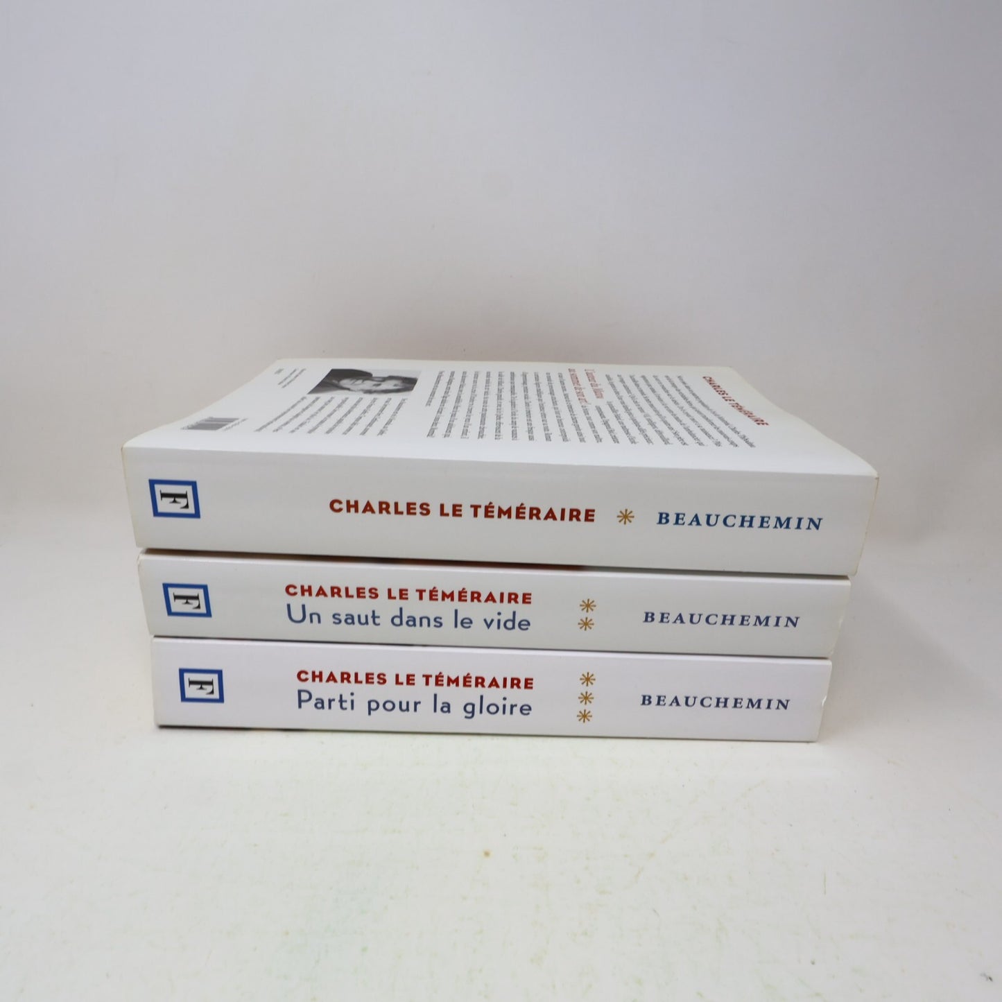 Charles le Téméraire #1-3 Série Complète Lot 3 Livres Yves Beauchemin Français