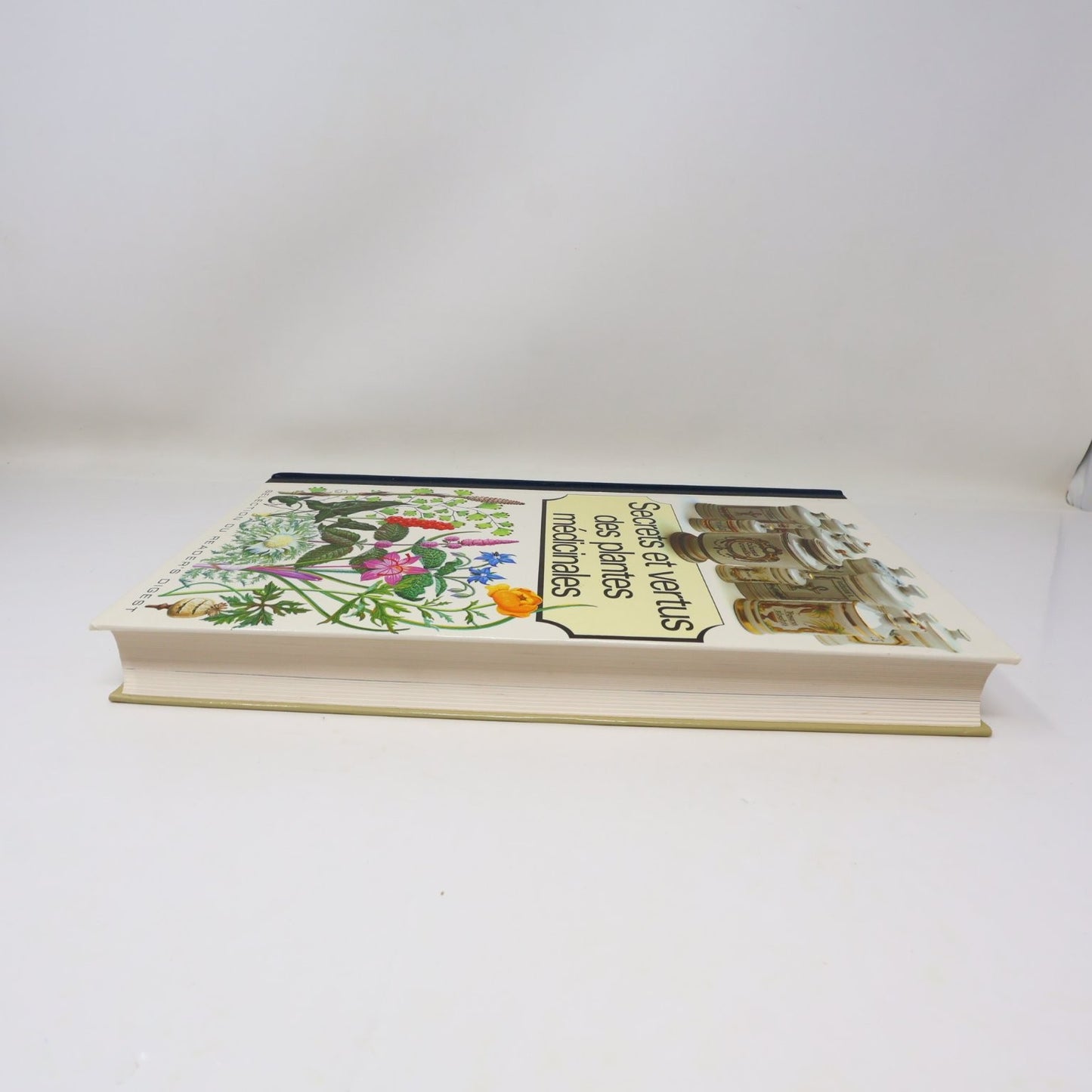 Secrets et vertus des plantes médicinales 1985 Reader's Digest Français/French