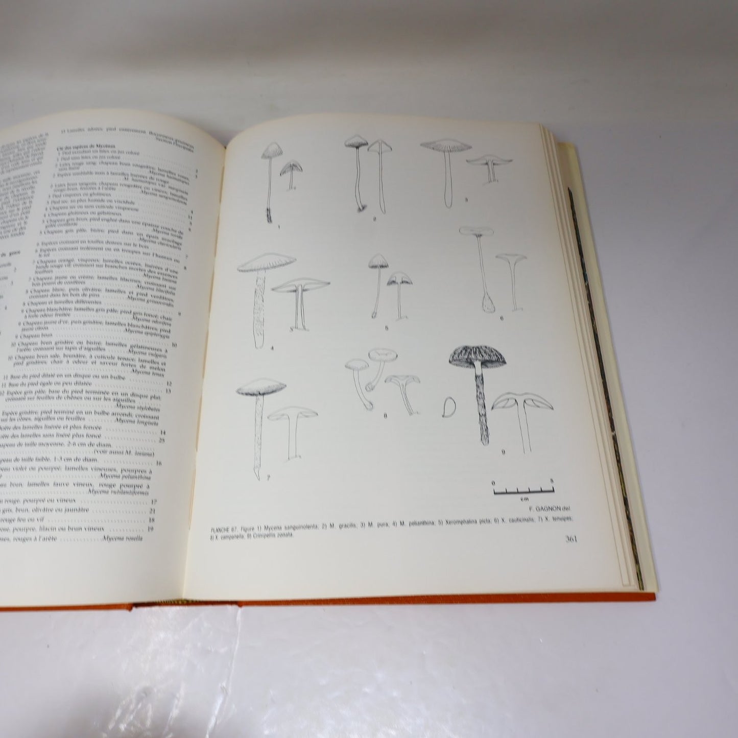 Flore des Champignons au Québec & Supplément René Pomerleau 1980 Fungi Français