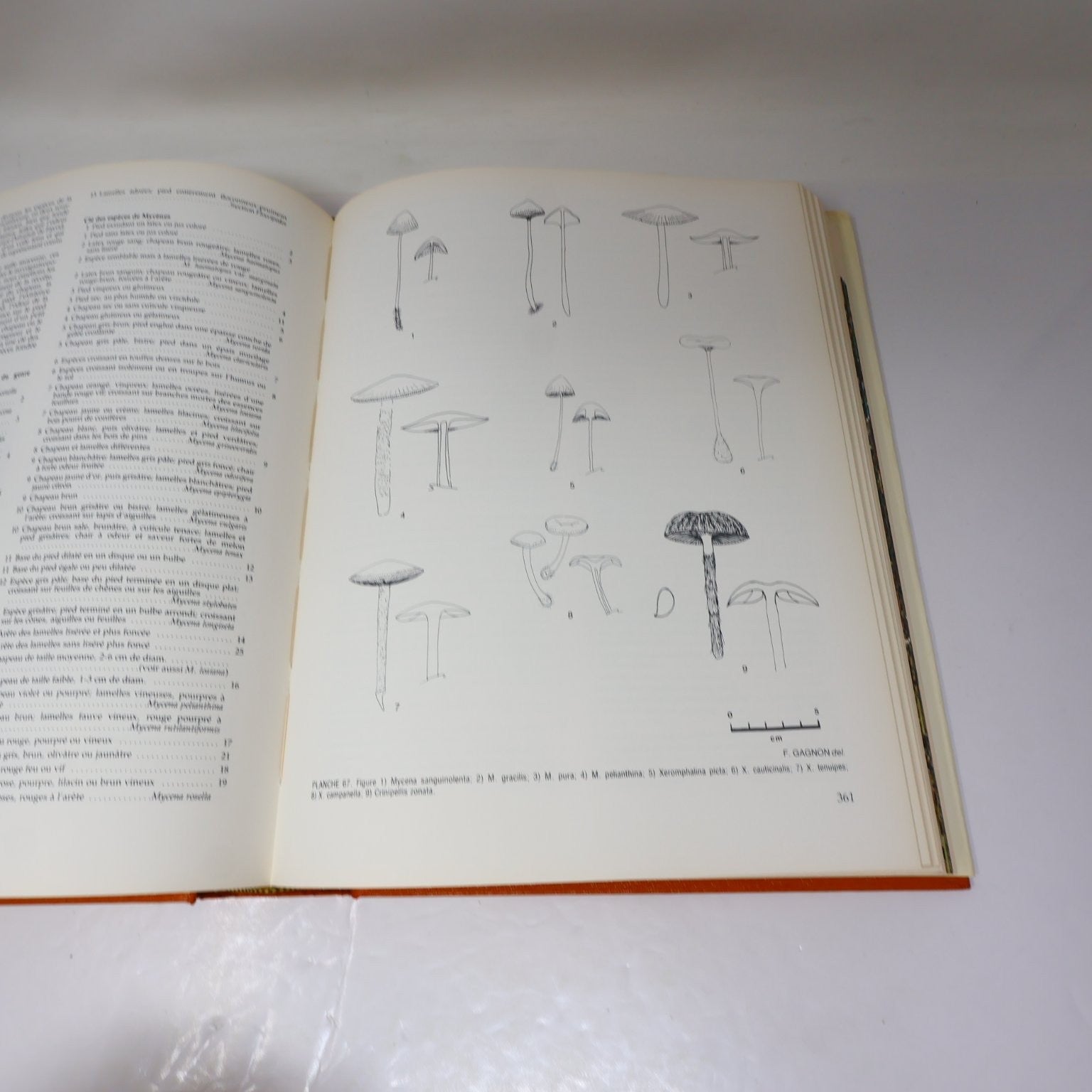 Flore des Champignons au Québec & Supplément René Pomerleau 1980 Fungi Français
