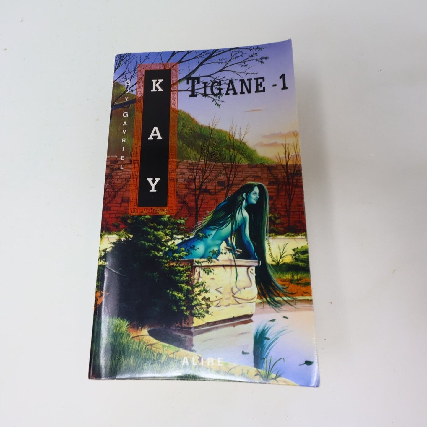 Lot 2 Livres Tigane #1-2 Guy Gavriel Kay Série Complète Fantasy 1998 Français PB