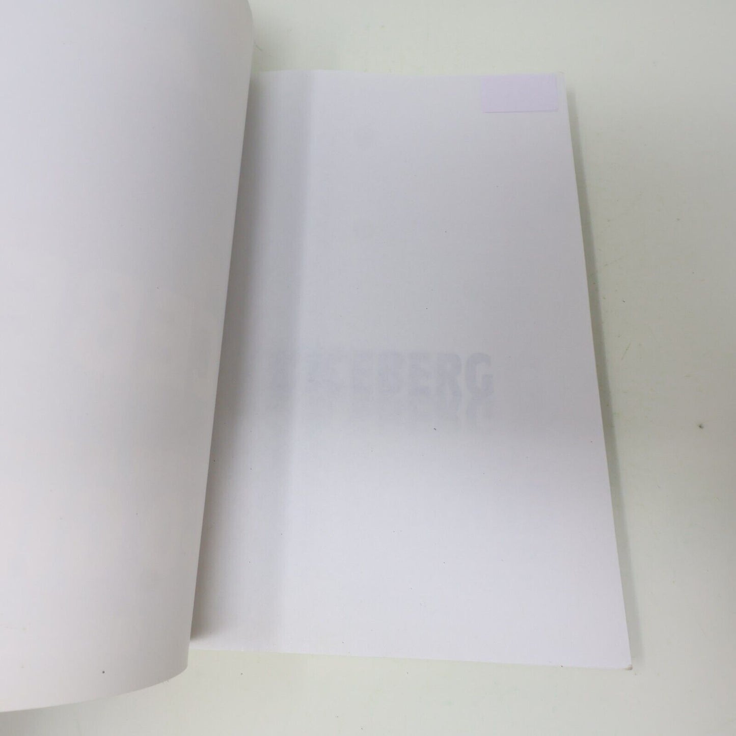 2018 L'Iceberg ou Comment Je Suis Devenu Hugo Girard Sonia Sarfati De L'homme PB