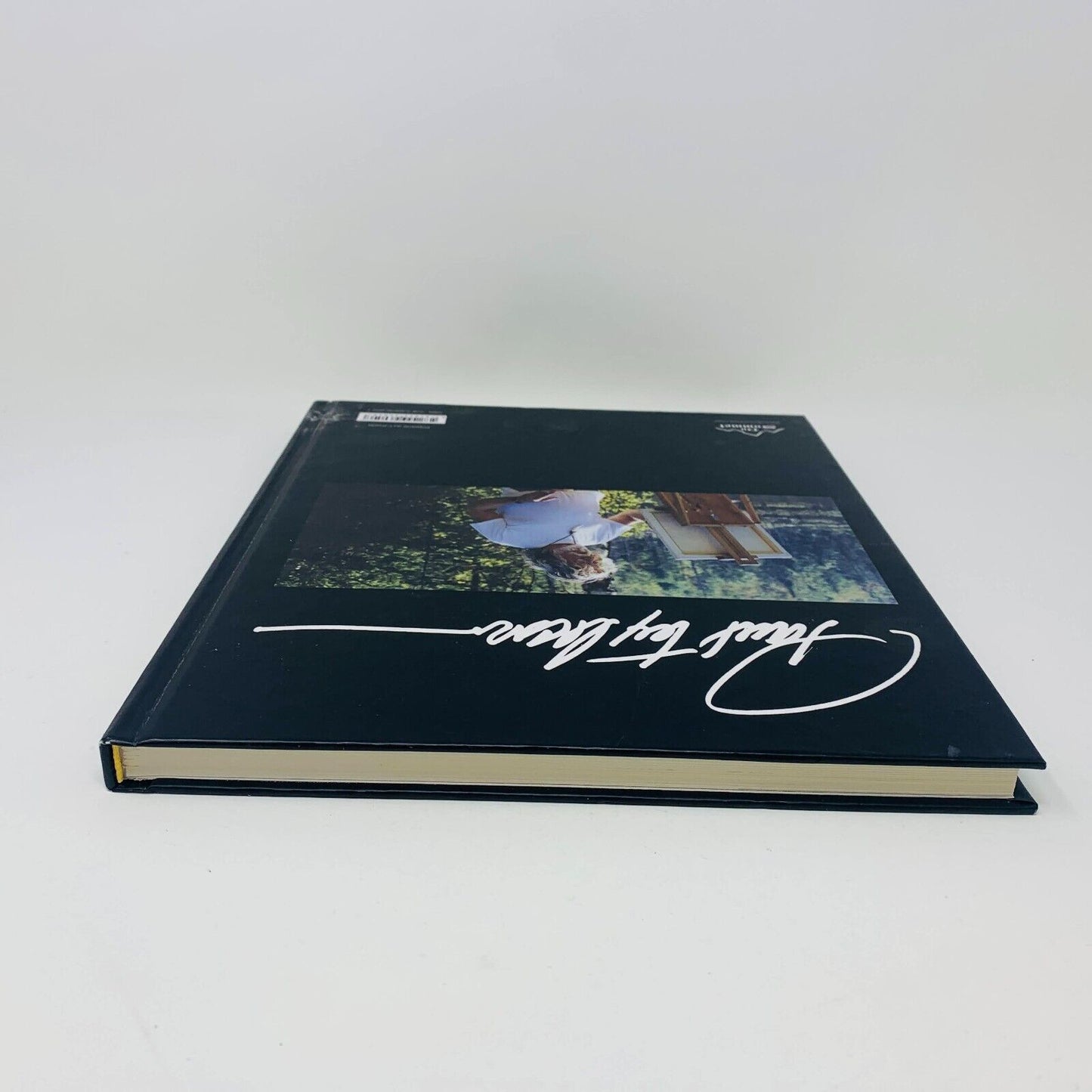 2013 Paul Tex Lecor Mon Monde Pour Vous Français/Anglais Livre sur Peintures Art