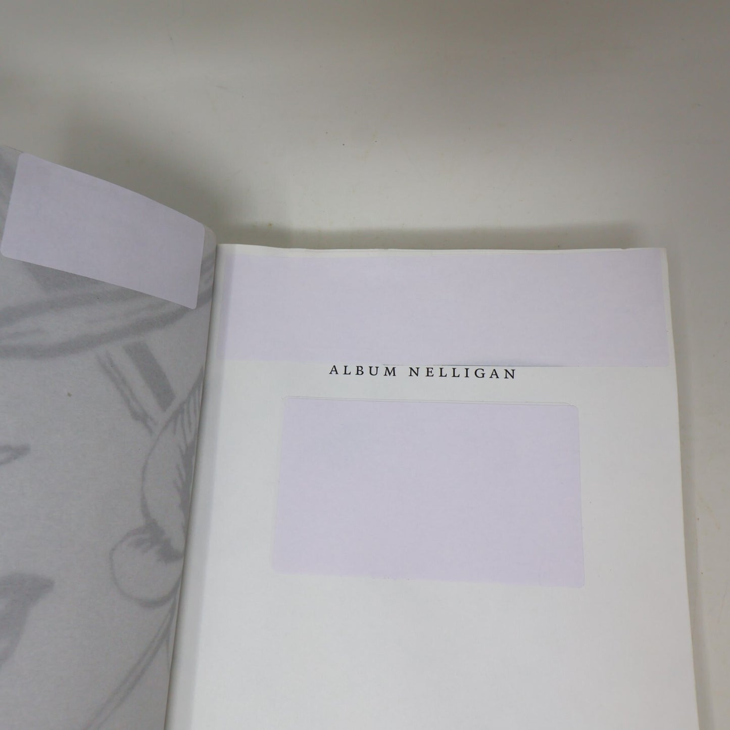 2002 Album Nelligan une Biographie en Images Paul Wyczynski Littérature Québec