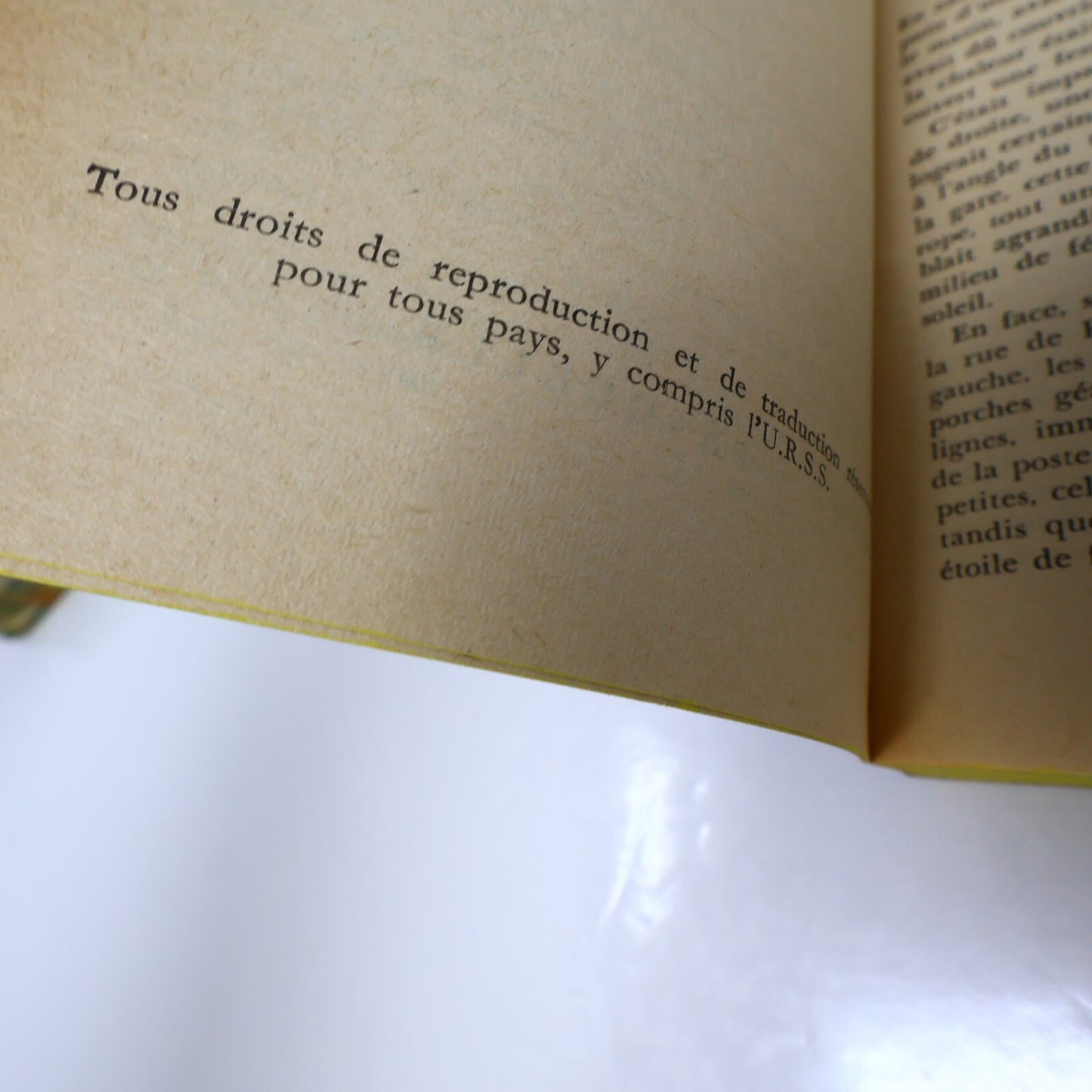 Émile Zola Lot 2 Livres Poche La Joie de Vivre/Bête Humaine Roman France French