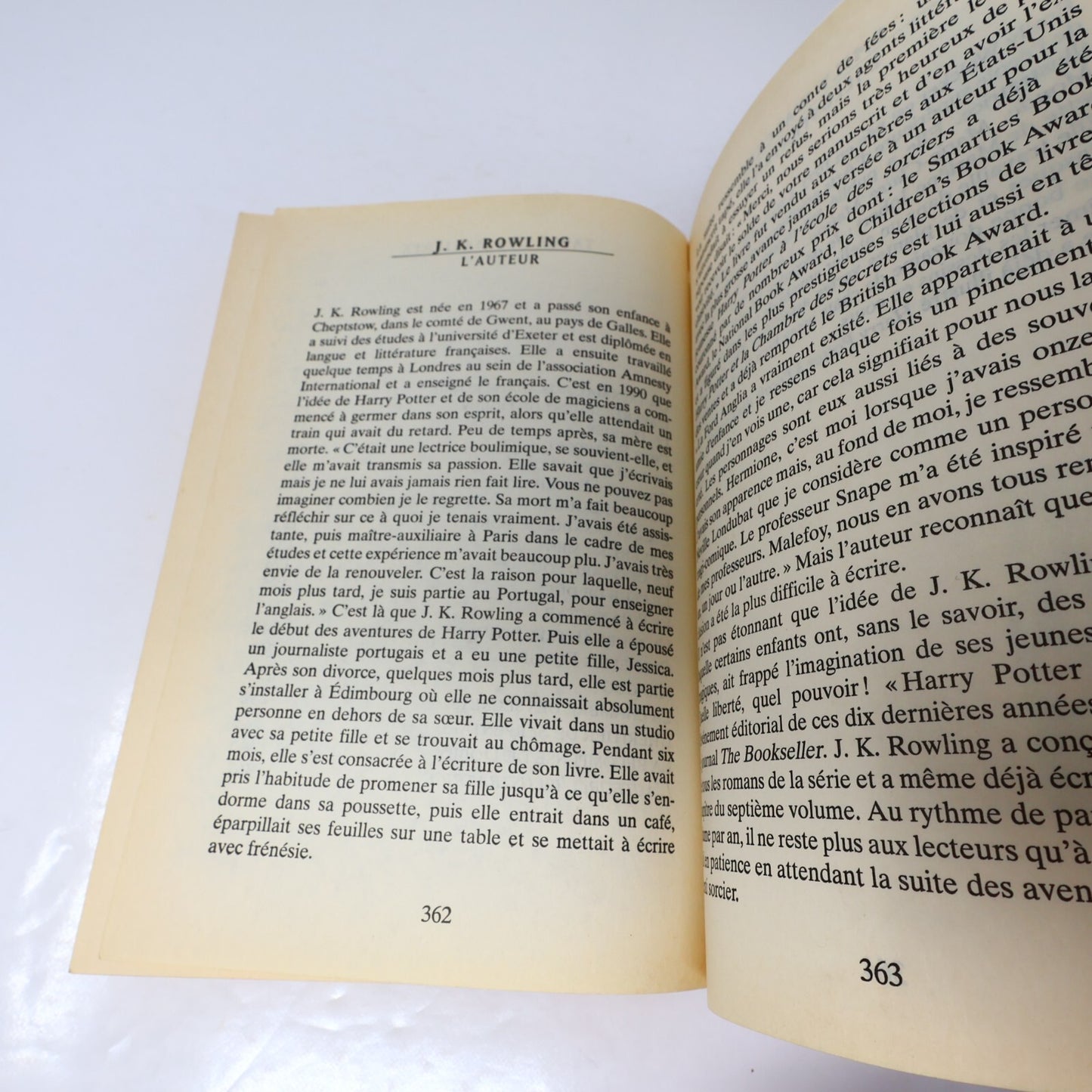 Harry Potter et la Chambre des Secrets Livre Première Édition Illustrée Mar 1999